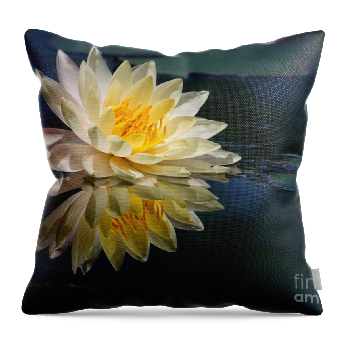 Landscape Throw Pillow featuring the photograph Beautiful Water Lily Reflection by Sabrina L Ryan