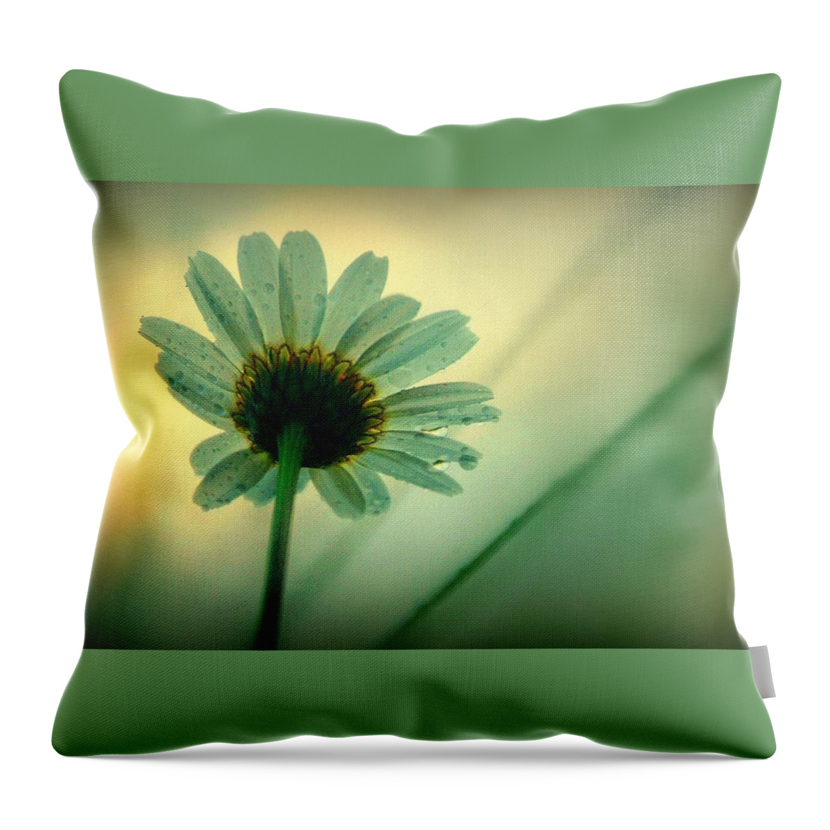 Flowers Throw Pillow featuring the photograph Beauty Beneath.. by Al Swasey