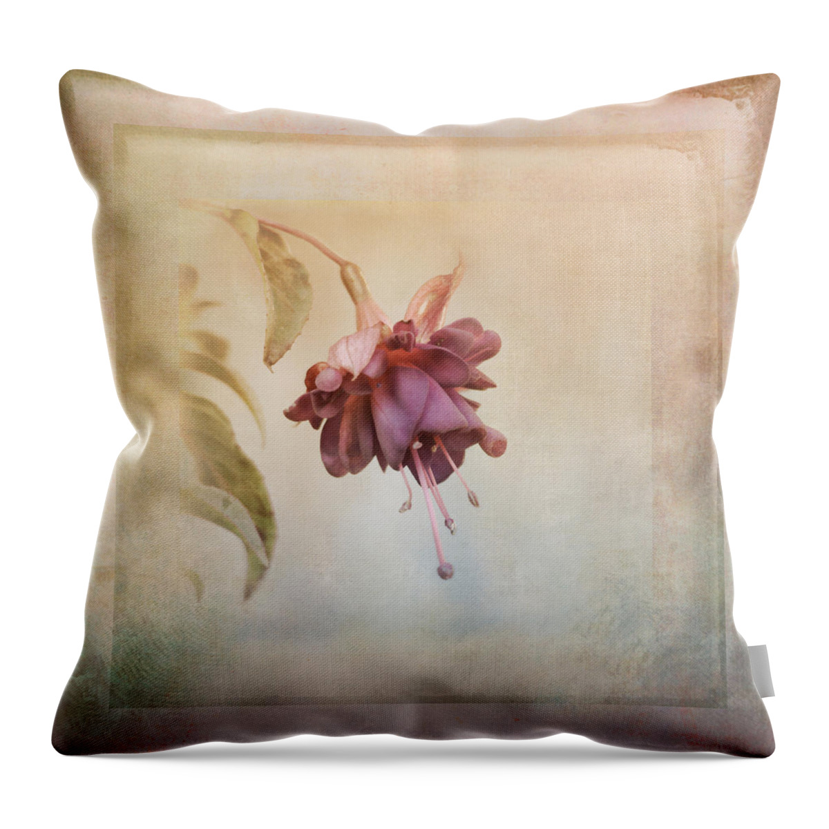 Fuschia Throw Pillow featuring the photograph Beauty Fades Softly Framed by Sue Capuano