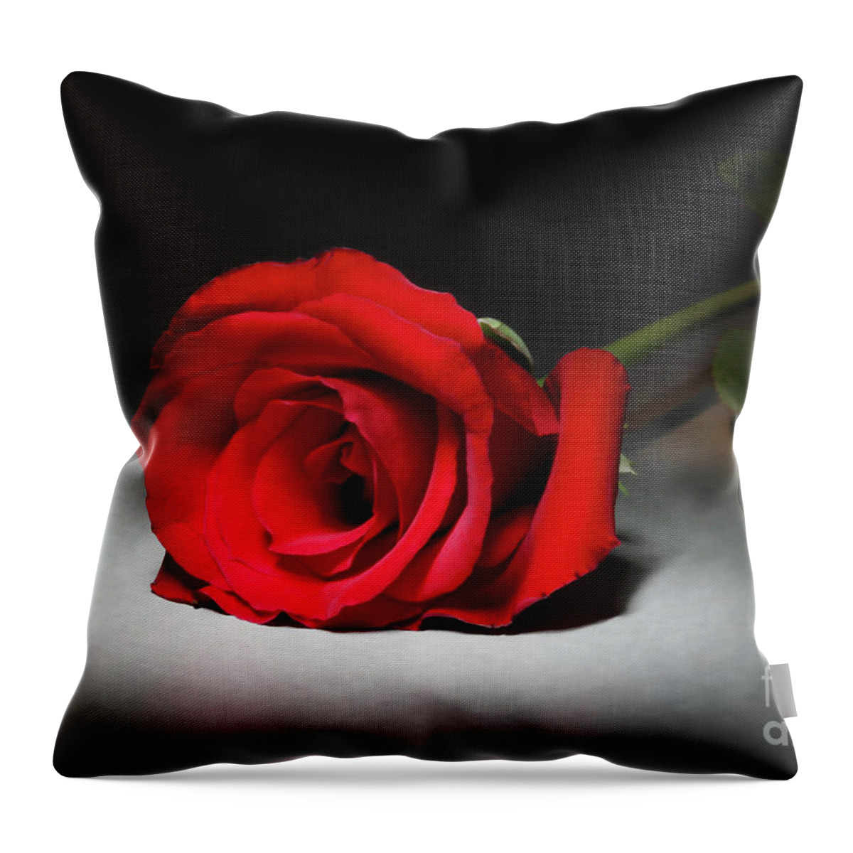 Beauty In The Spotlight Throw Pillow featuring the photograph Beauty in the Spotlight by Mariola Bitner