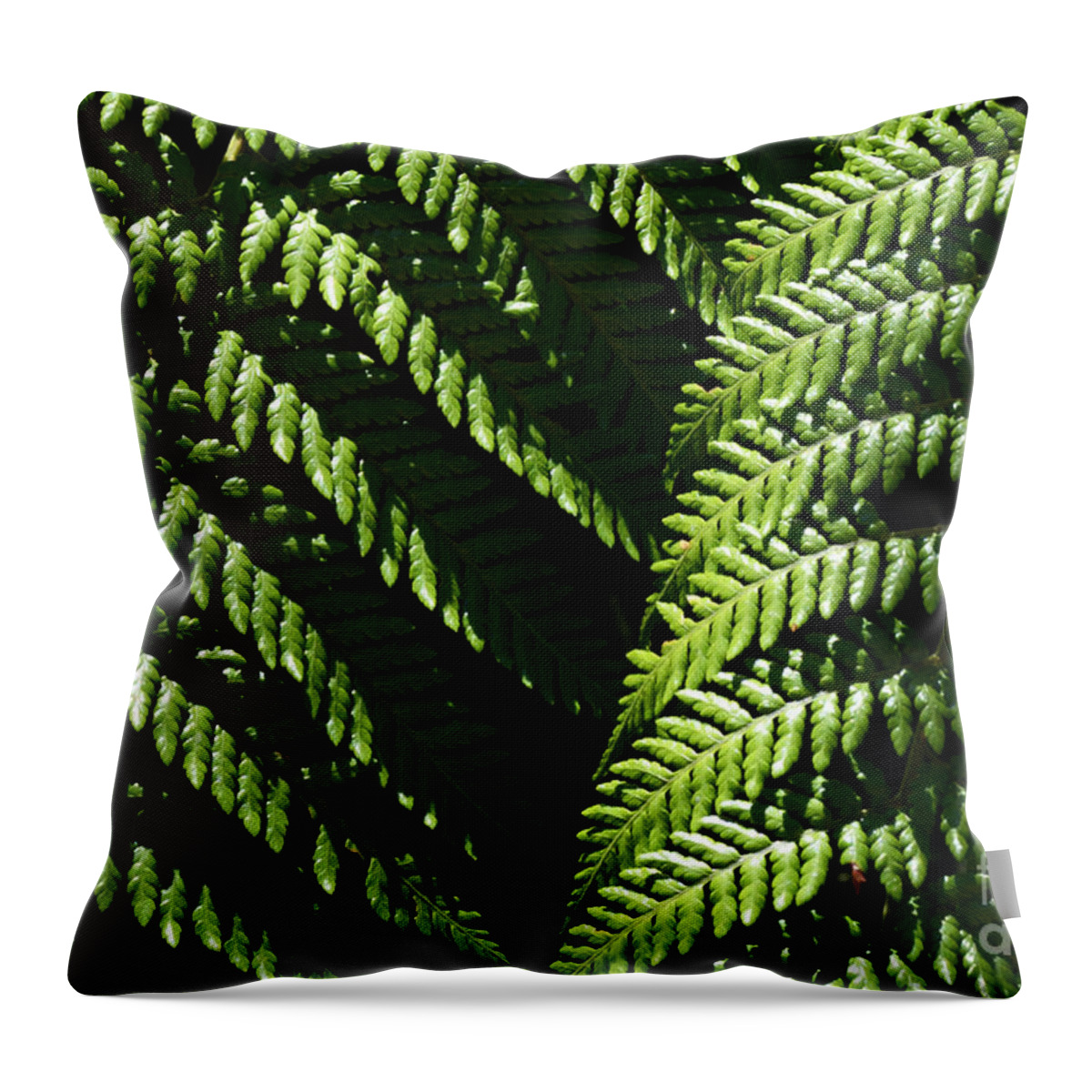 Fern Throw Pillow featuring the photograph Beauty Of Nature Fern 2 by Bob Christopher