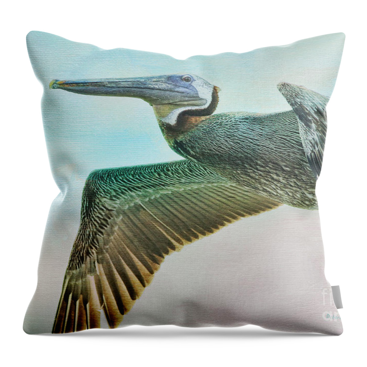 Pelican Throw Pillow featuring the photograph Beauty Of The Pelican by Deborah Benoit