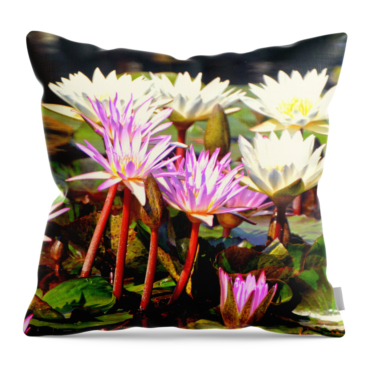 Flowers Throw Pillow featuring the photograph Beauty on the Water by Marty Koch