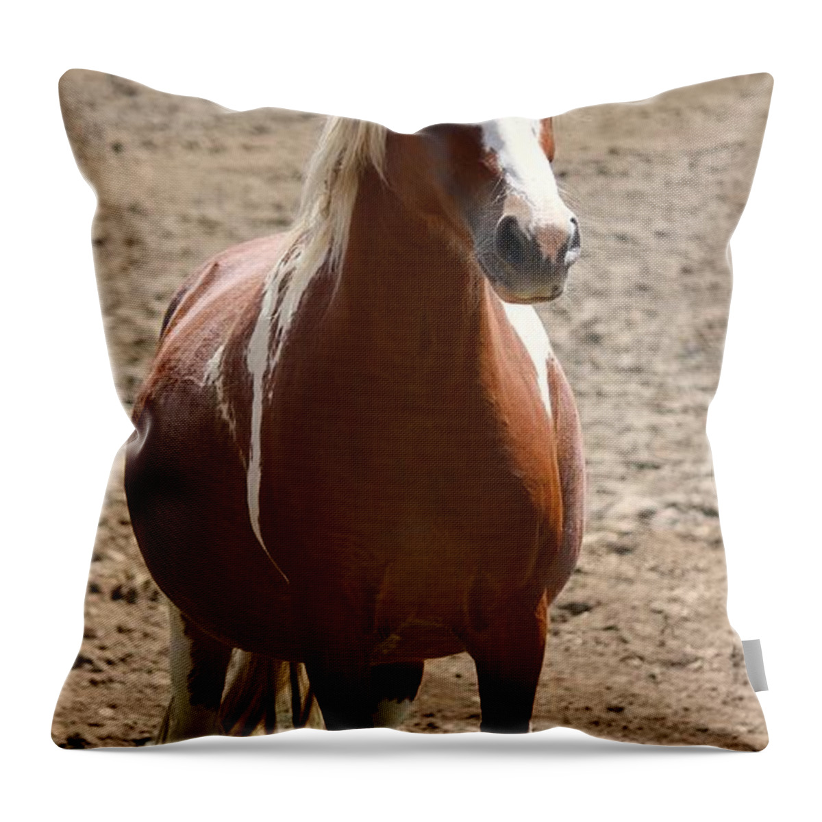 Horse Throw Pillow featuring the photograph Beauty by Veronica Batterson