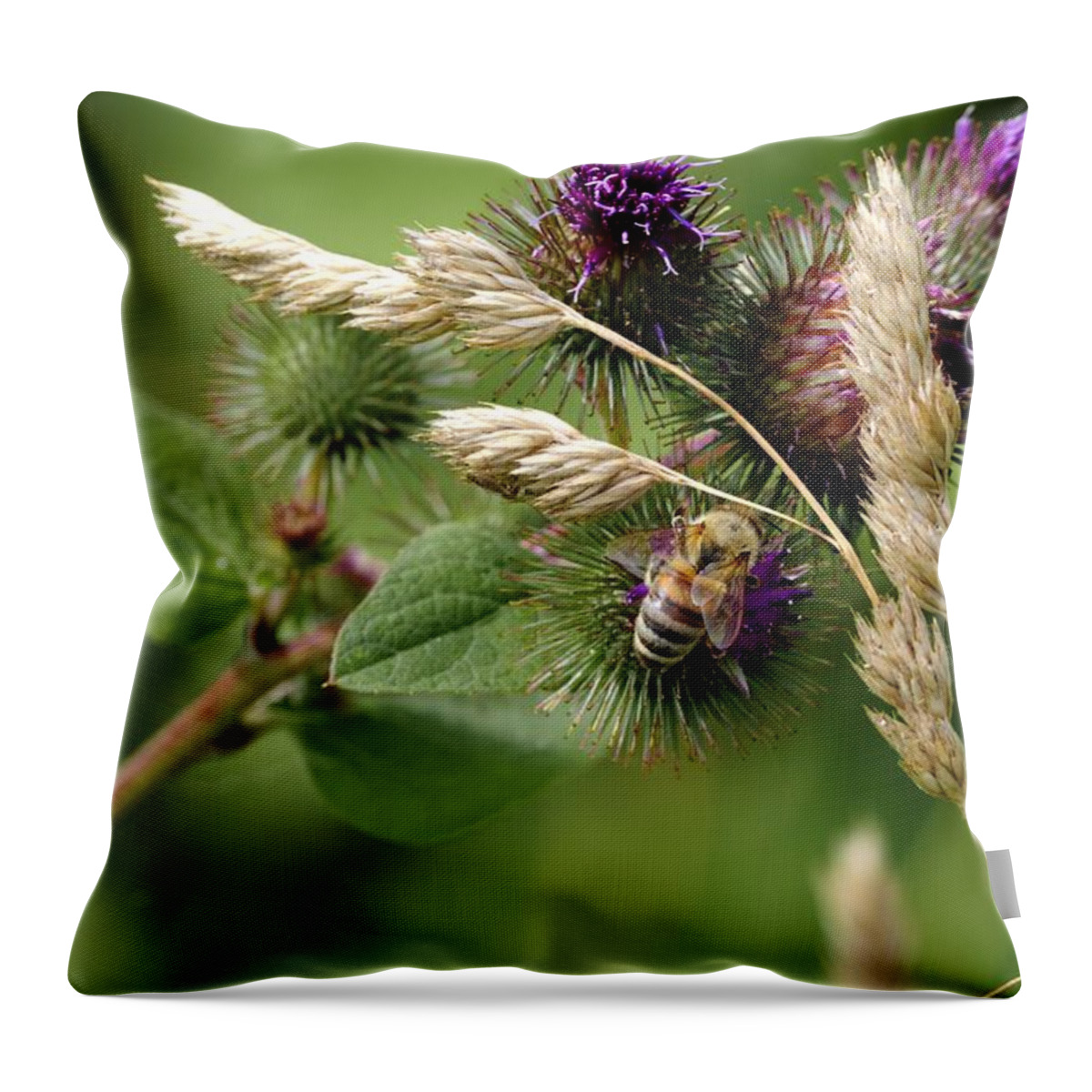 Bee Throw Pillow featuring the photograph Bee 1 by Deborah Ritch