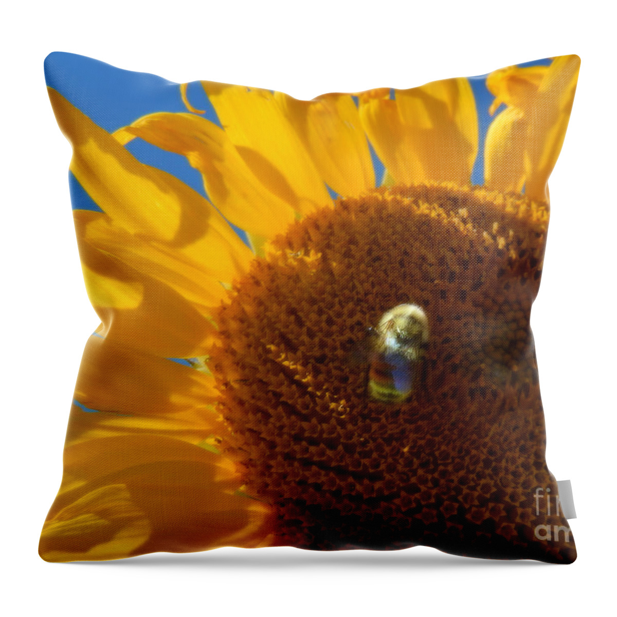 Heather Coen Throw Pillow featuring the photograph Bee a Sunflower by Heather Coen