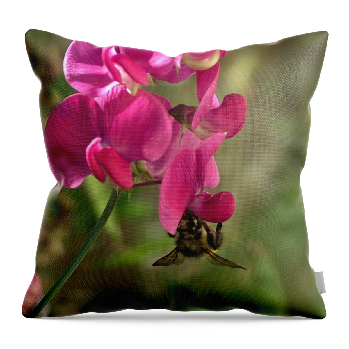 Still Life Throw Pillow featuring the photograph Bee Hanging Around by Wayne Enslow