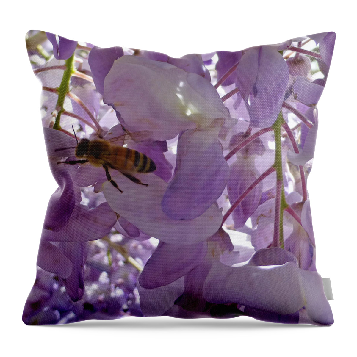 Honey Throw Pillow featuring the photograph Bee in Wisteria by Claudia Goodell