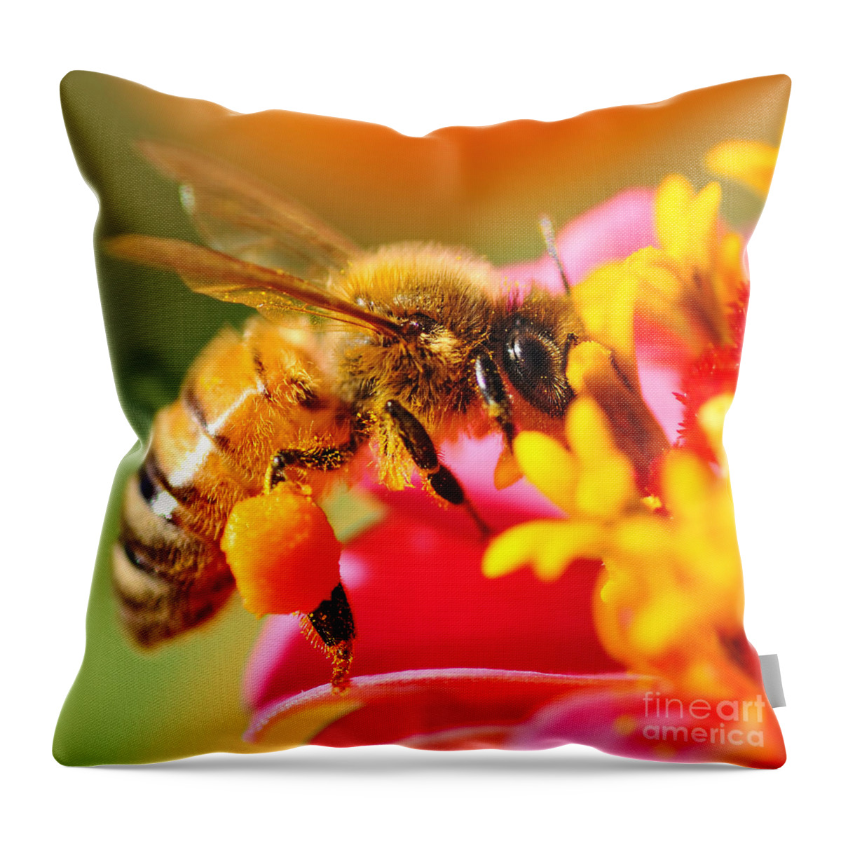 Photography Throw Pillow featuring the photograph Bee Laden with Pollen 2 by Kaye Menner by Kaye Menner