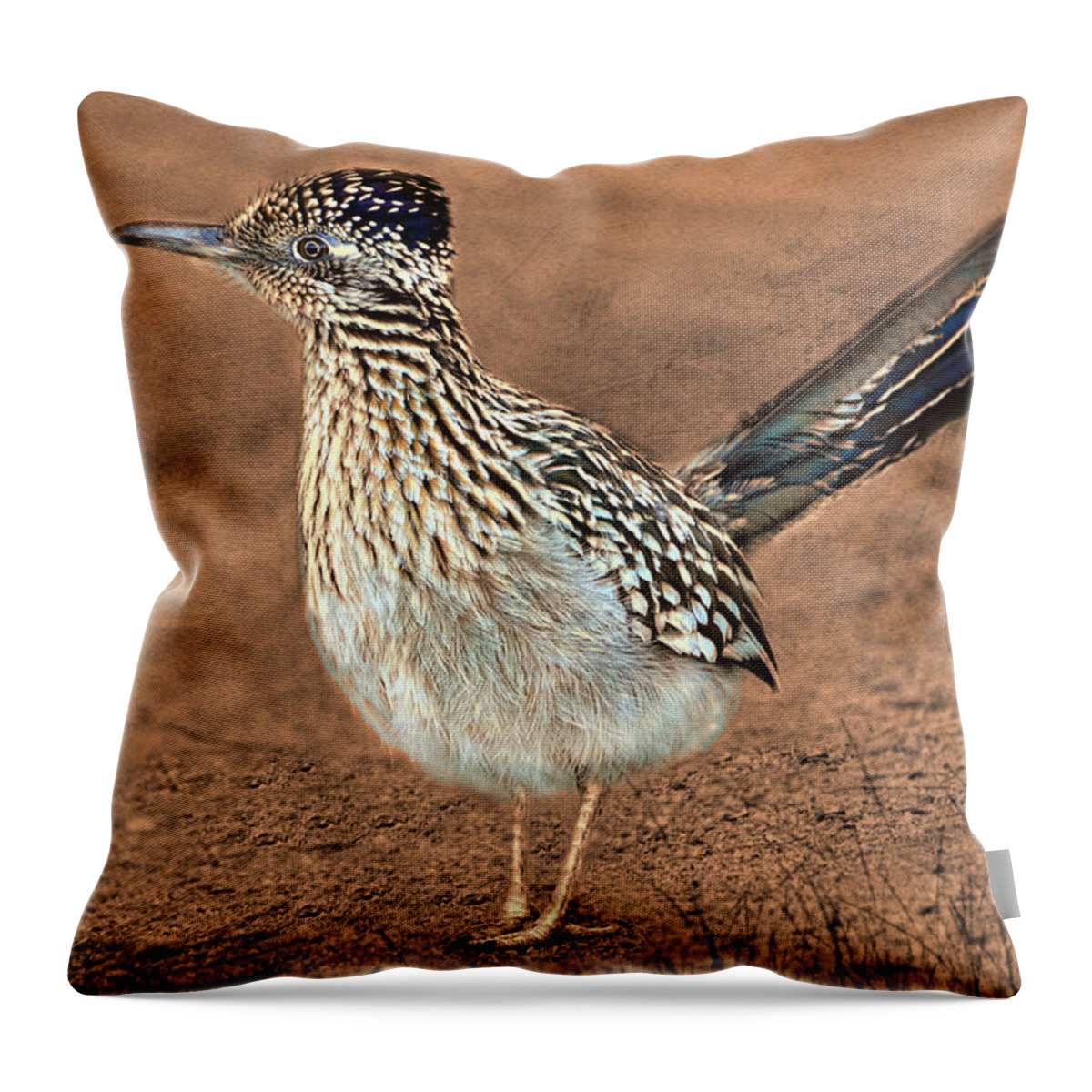 Roadrunner Throw Pillow featuring the photograph Beep Beep by Barbara Manis