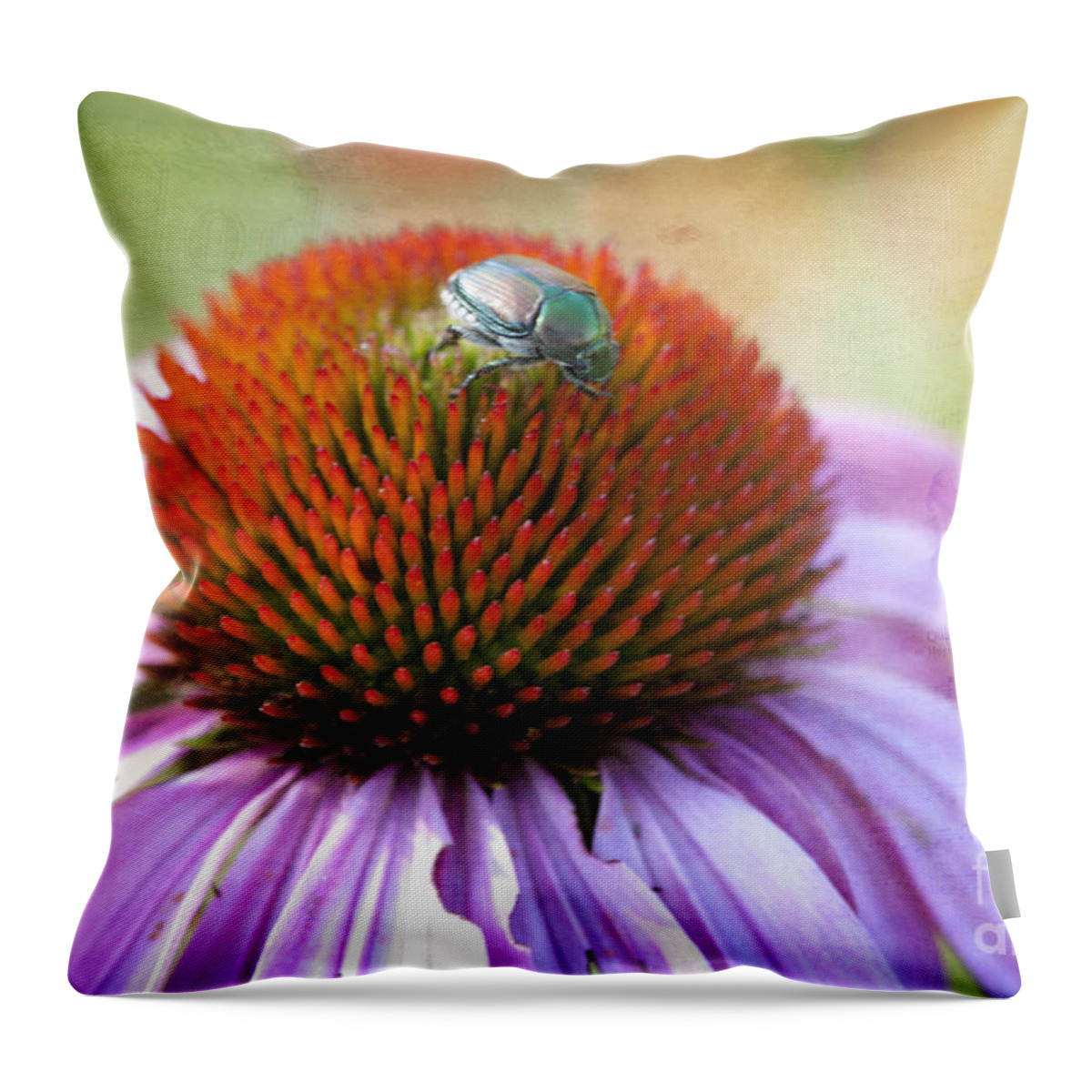 Beauty In Nature Throw Pillow featuring the photograph Beetle Bug by Juli Scalzi
