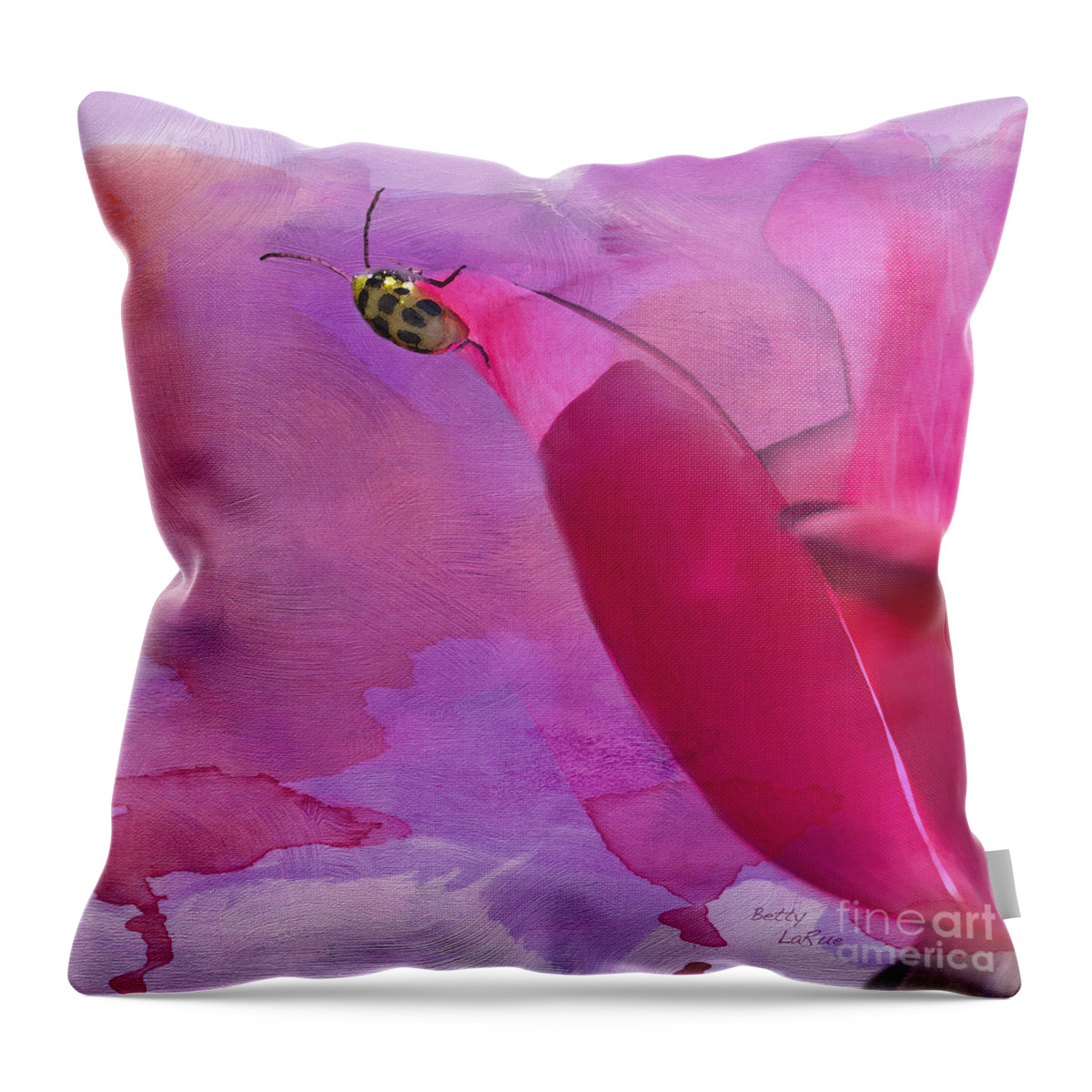 Rose Throw Pillow featuring the photograph Beetle on a Rose by Betty LaRue