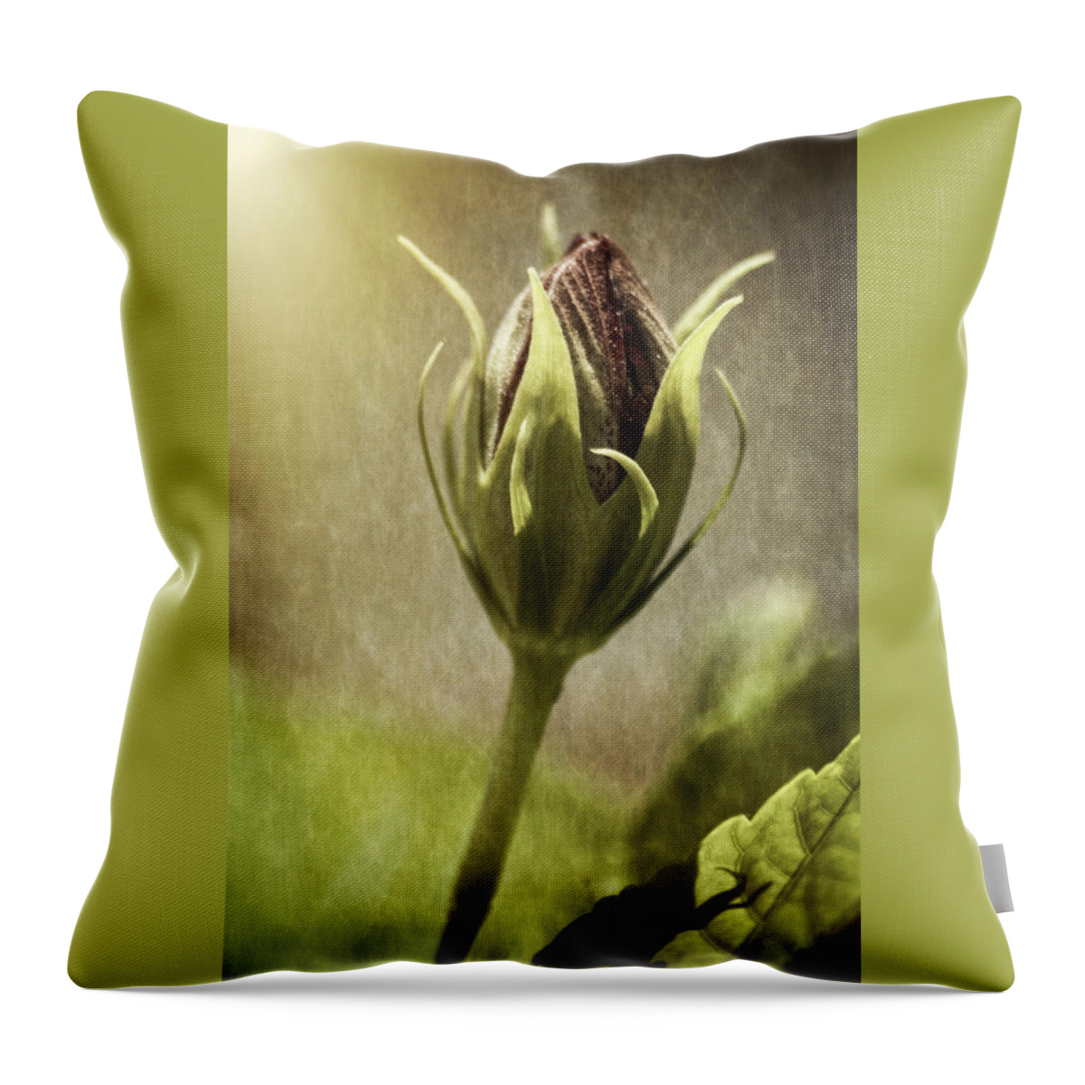 Rose Throw Pillow featuring the photograph Before Full Bloom by Carolyn Marshall