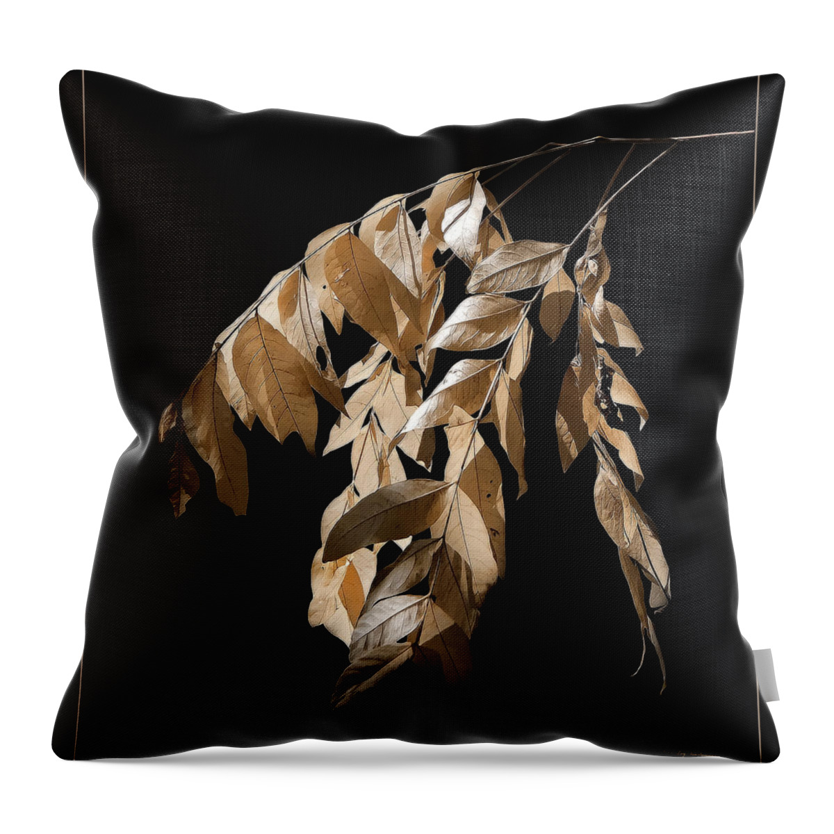Fall Throw Pillow featuring the photograph Before the Fall by Lucy VanSwearingen