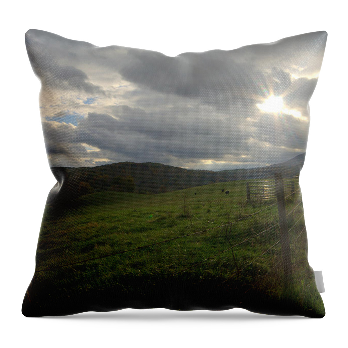 Landscape Throw Pillow featuring the photograph Before The Storm by Cathy Shiflett