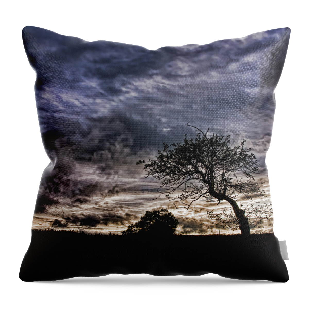 Northumberland Shore Throw Pillow featuring the photograph Nova Scotia's Lonely Tree Before the Storm by Ginger Wakem