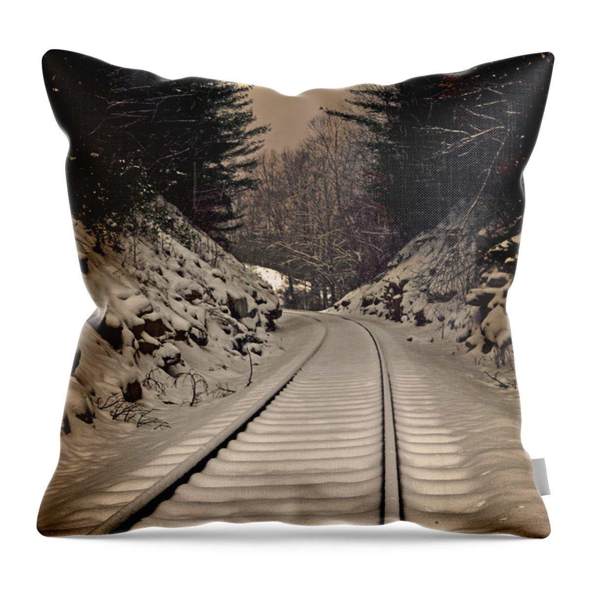 Lisa Lambert Throw Pillow featuring the photograph Before the Train by Lisa Lambert-Shank