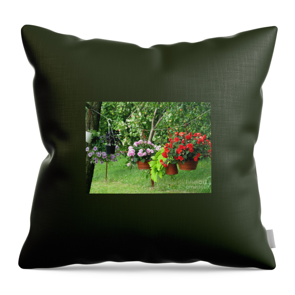 Flower Throw Pillow featuring the photograph Begonias On Line by Ausra Huntington nee Paulauskaite