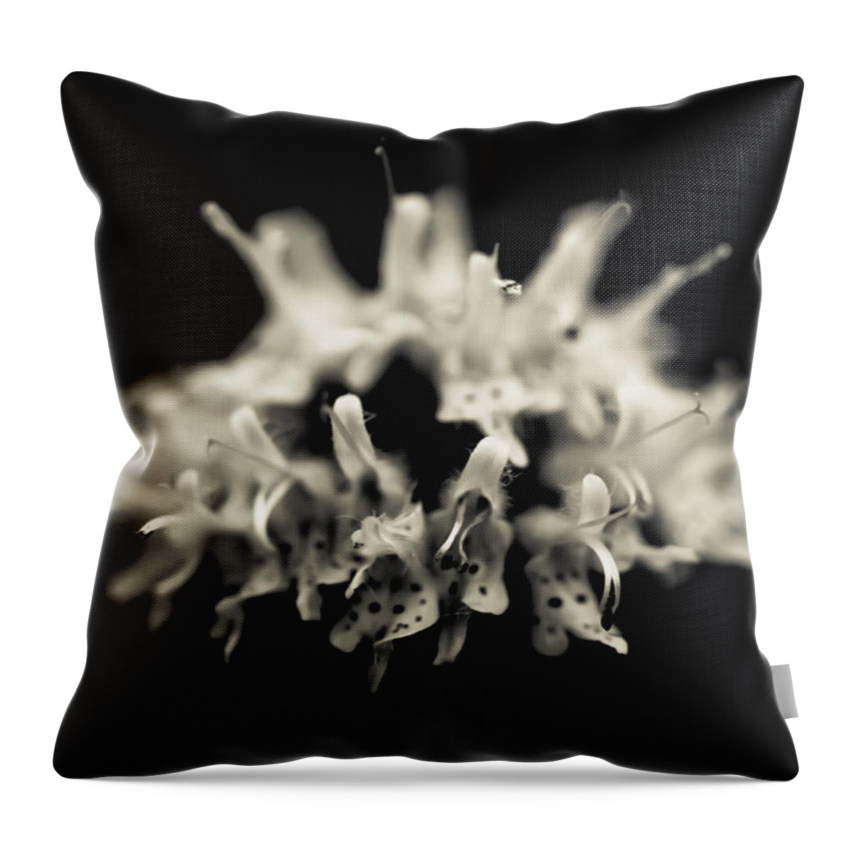 Flower Throw Pillow featuring the photograph Behind All Dreams by Shane Holsclaw