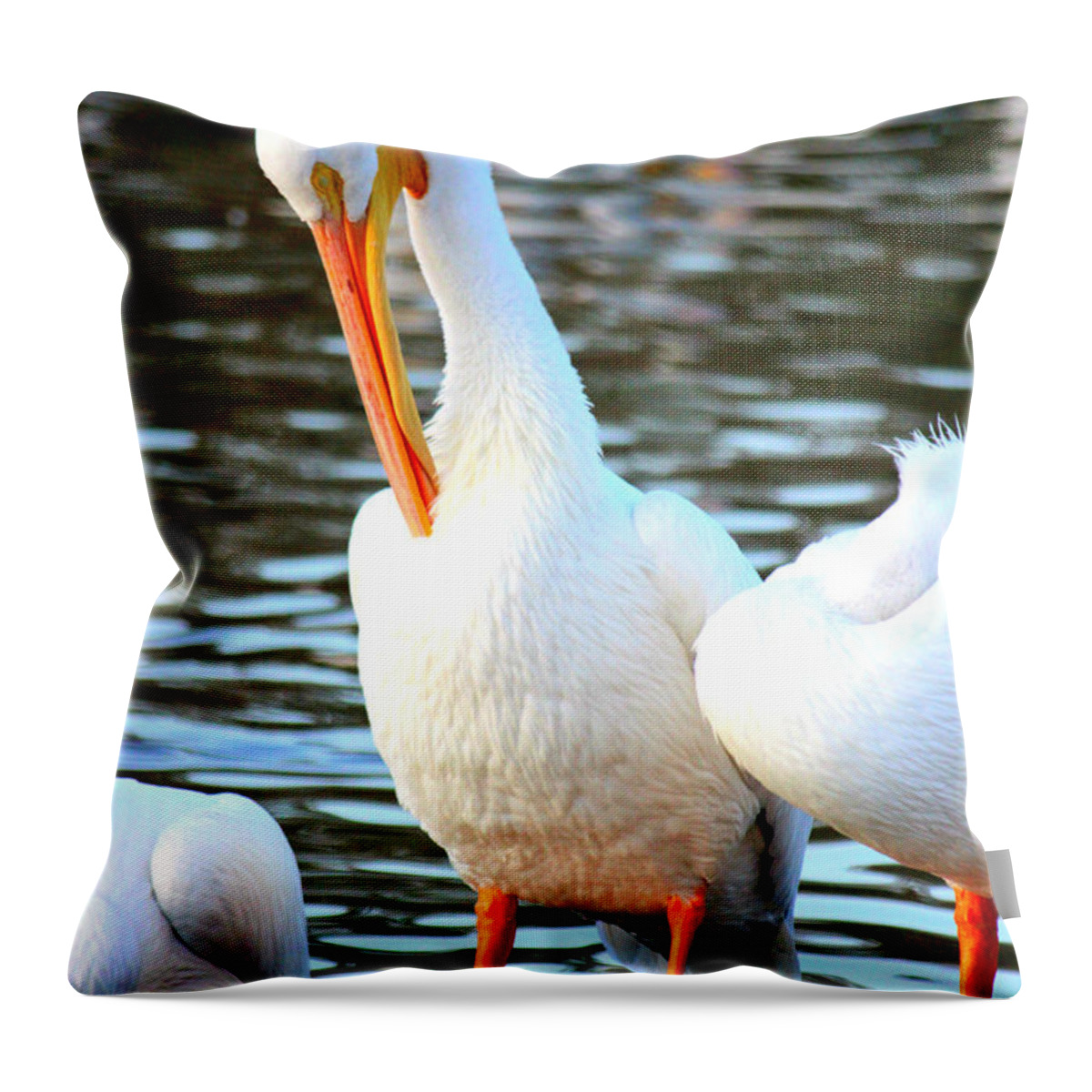 American White Pelican Throw Pillow featuring the photograph Being A Pelican by Kathy White