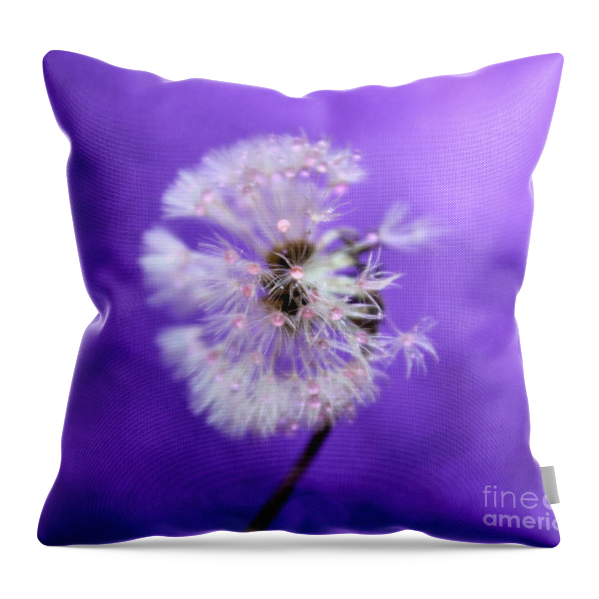 Dandelion Throw Pillow featuring the photograph Believe by Krissy Katsimbras