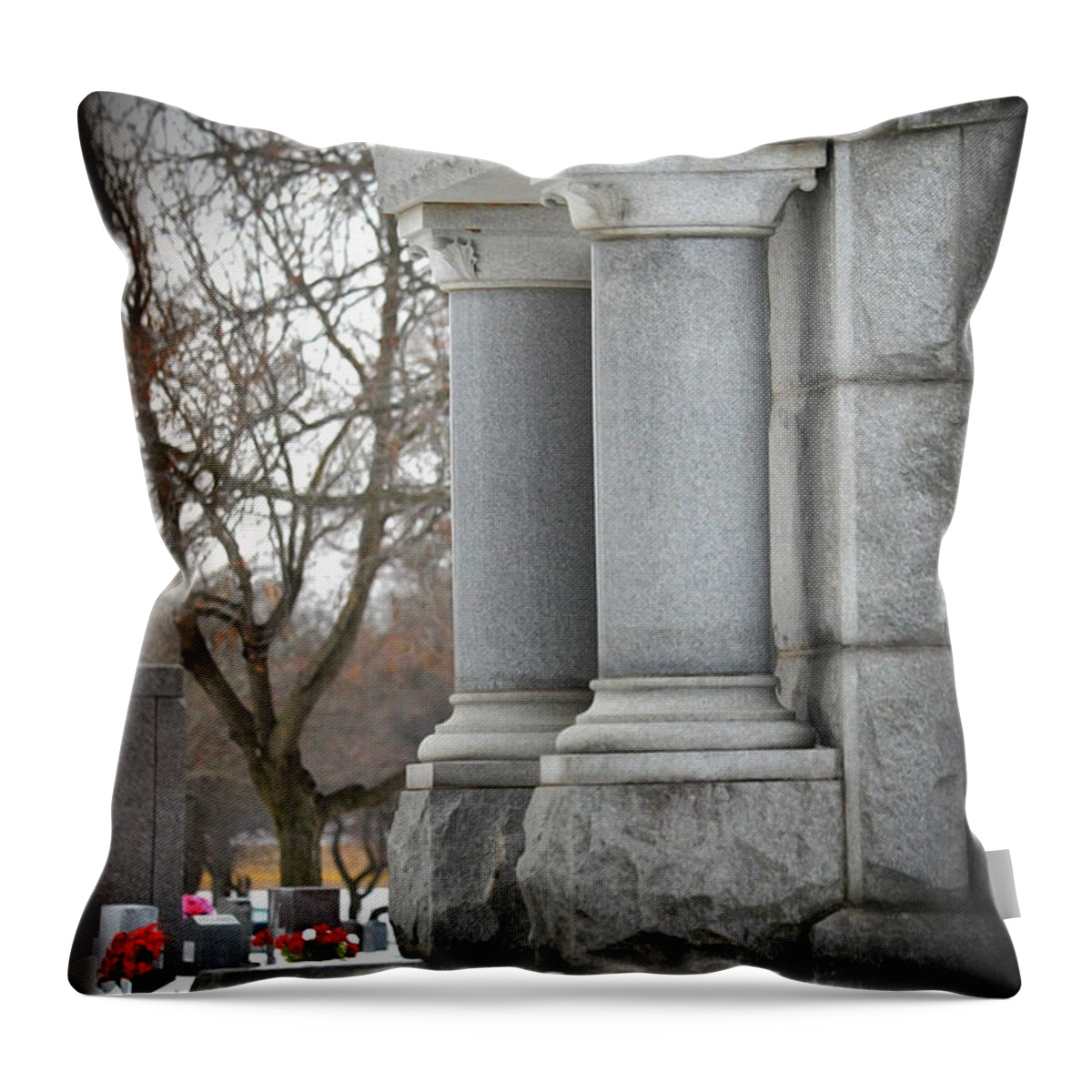 Architecture Throw Pillow featuring the photograph Beloved by Lena Wilhite