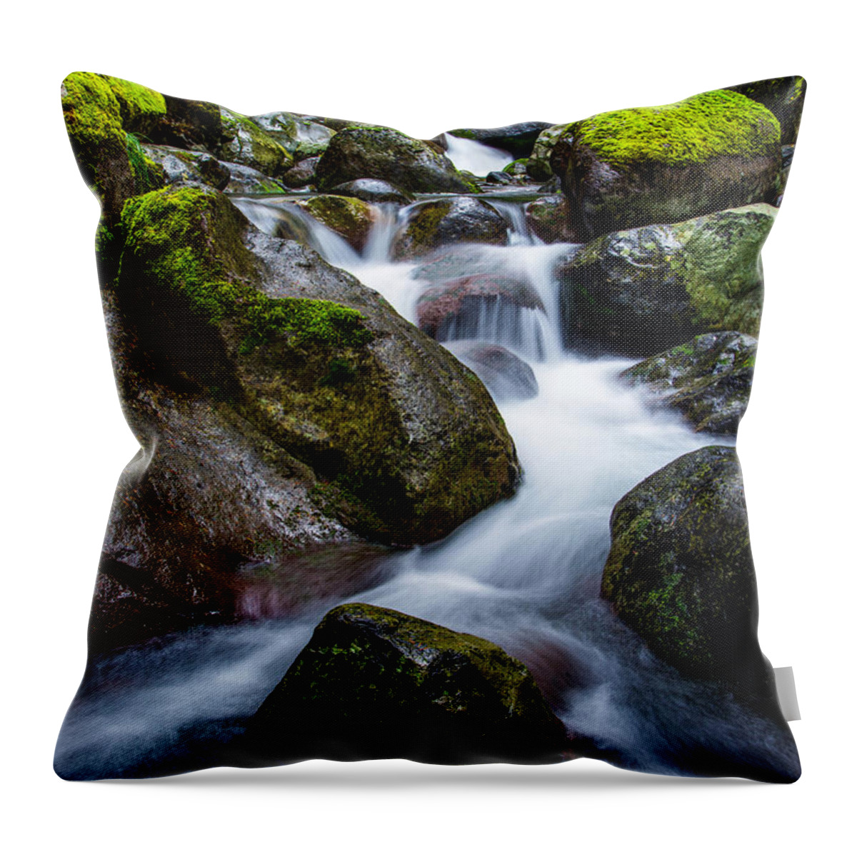 Below Rainier Throw Pillow featuring the photograph Below Rainier by Chad Dutson