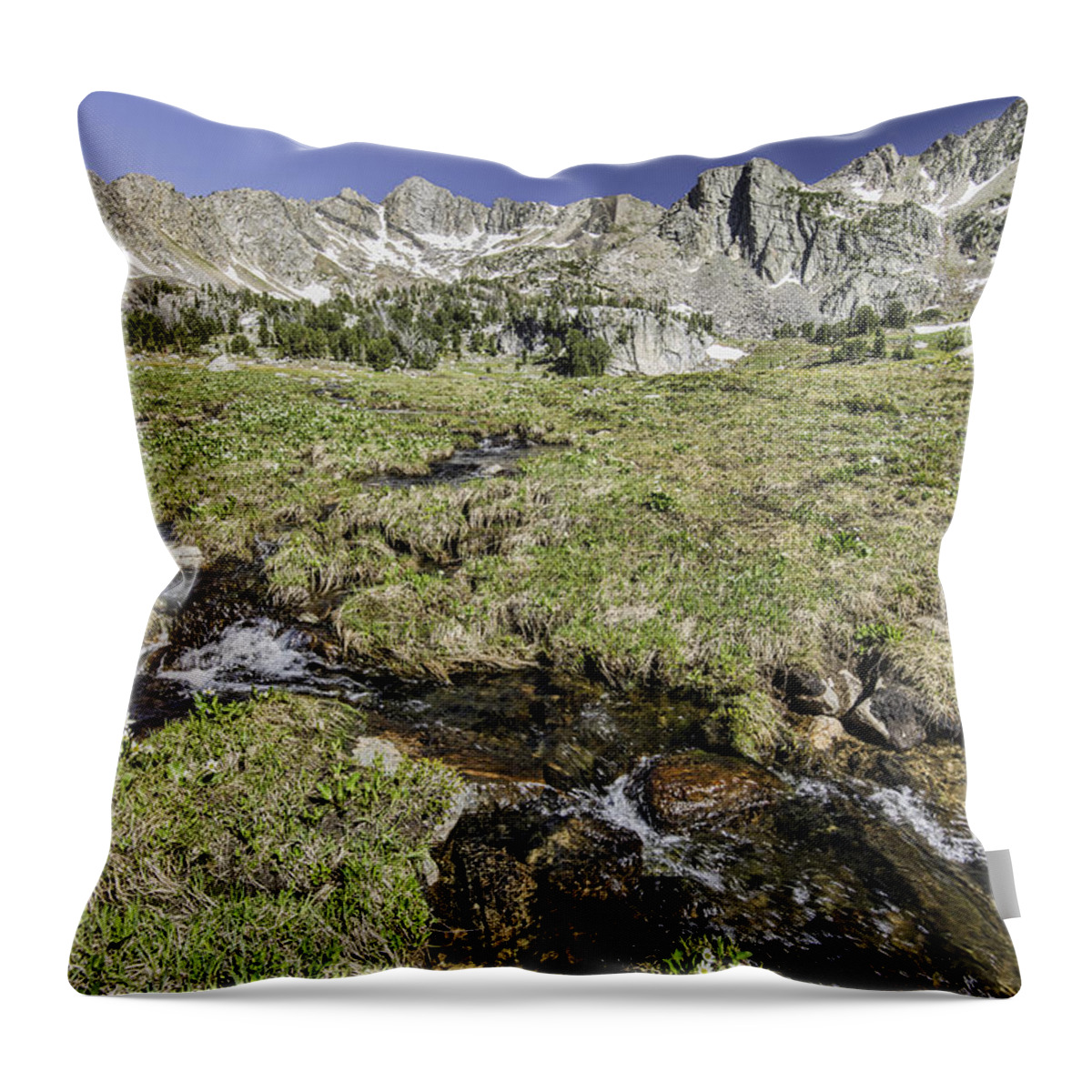Stream Throw Pillow featuring the photograph Below the Tarn by Mark Harrington