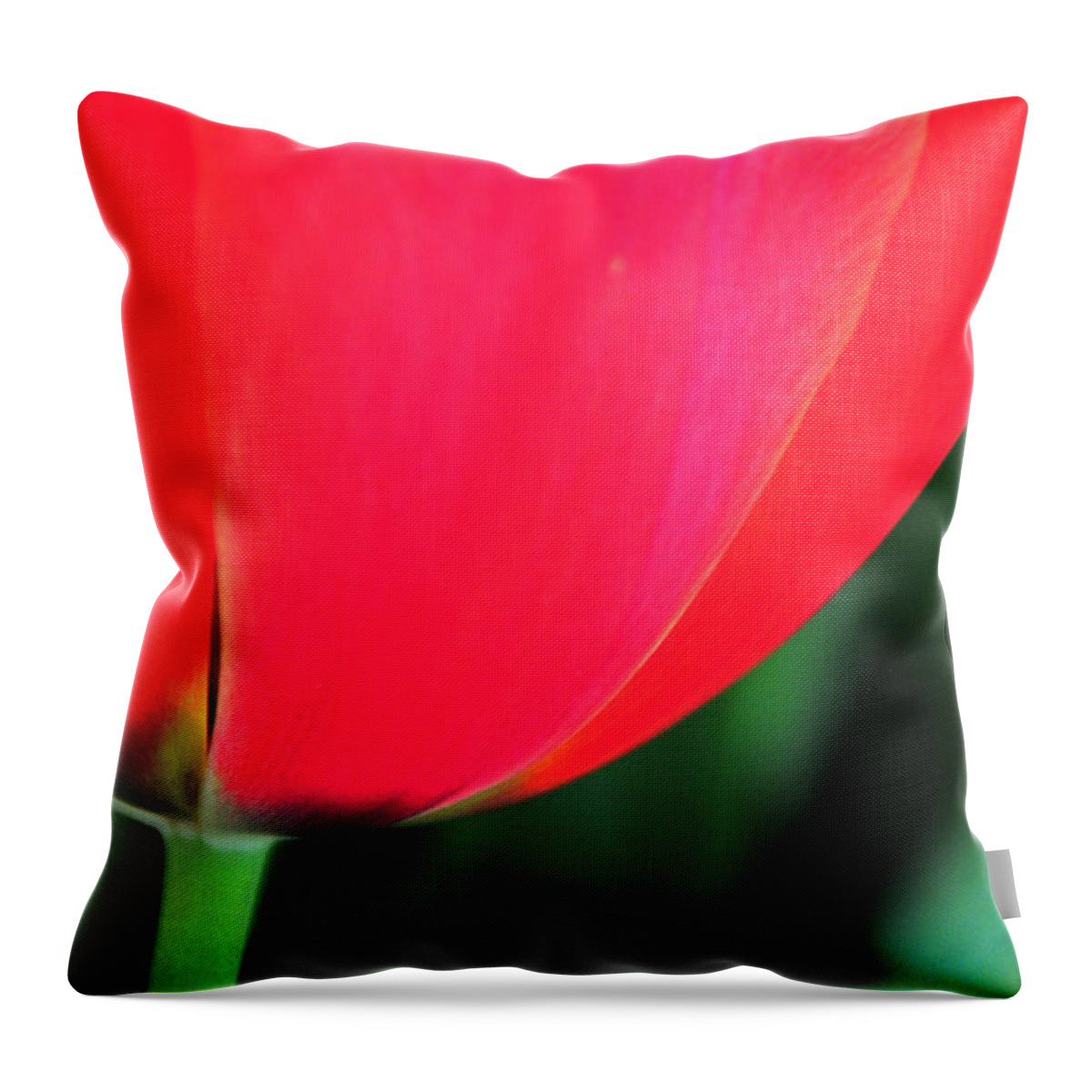 Flower Throw Pillow featuring the photograph Beneath by Mike Martin