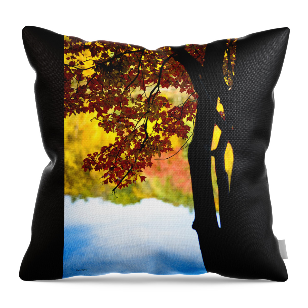 Landscape Throw Pillow featuring the photograph Beneath the Leaves by Crystal Wightman