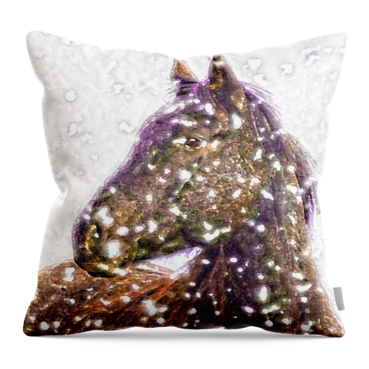 Winter Throw Pillow featuring the photograph Beneath Your Beauty by Amanda Smith