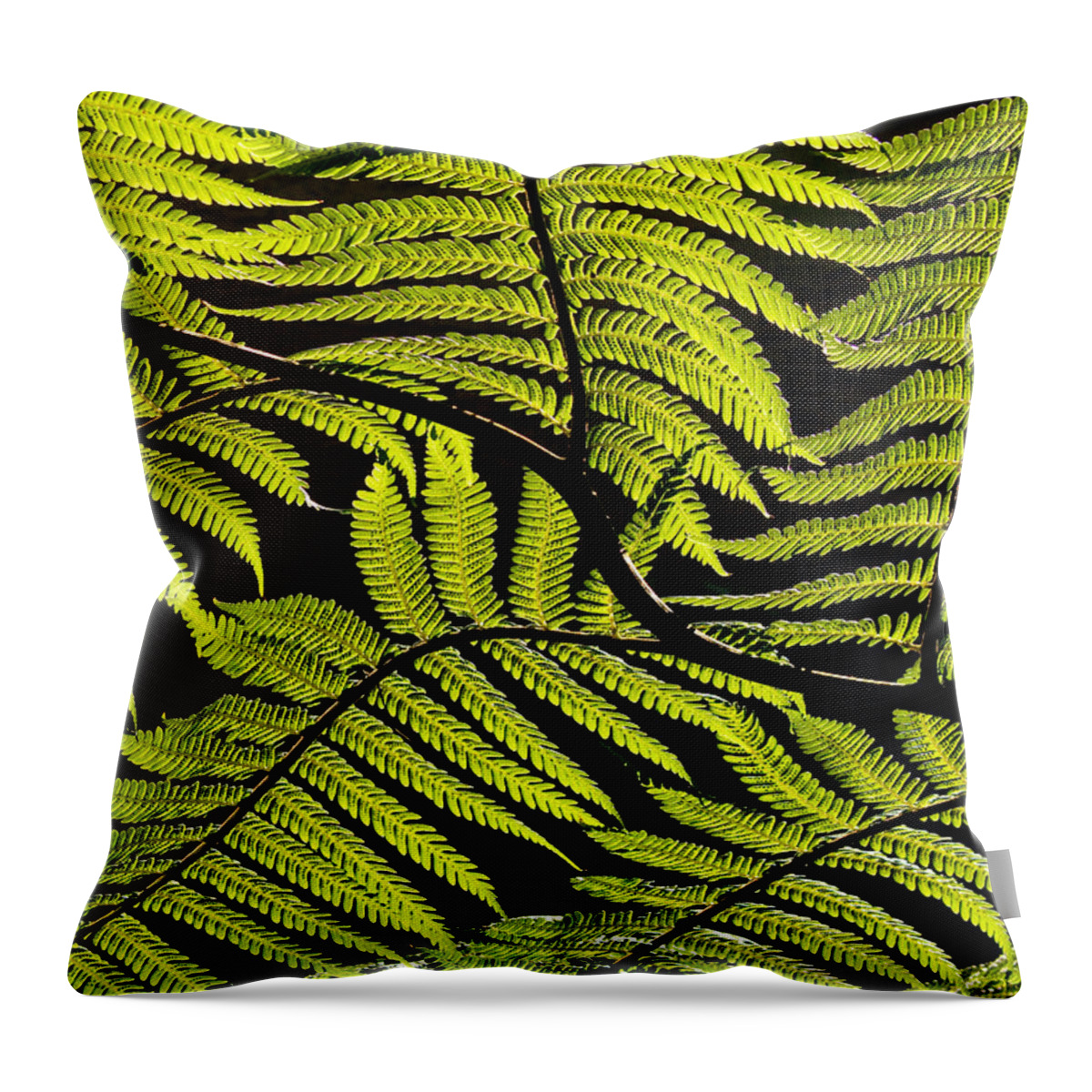 Fern Tree Throw Pillow featuring the photograph Bent Fern by Guillermo Rodriguez