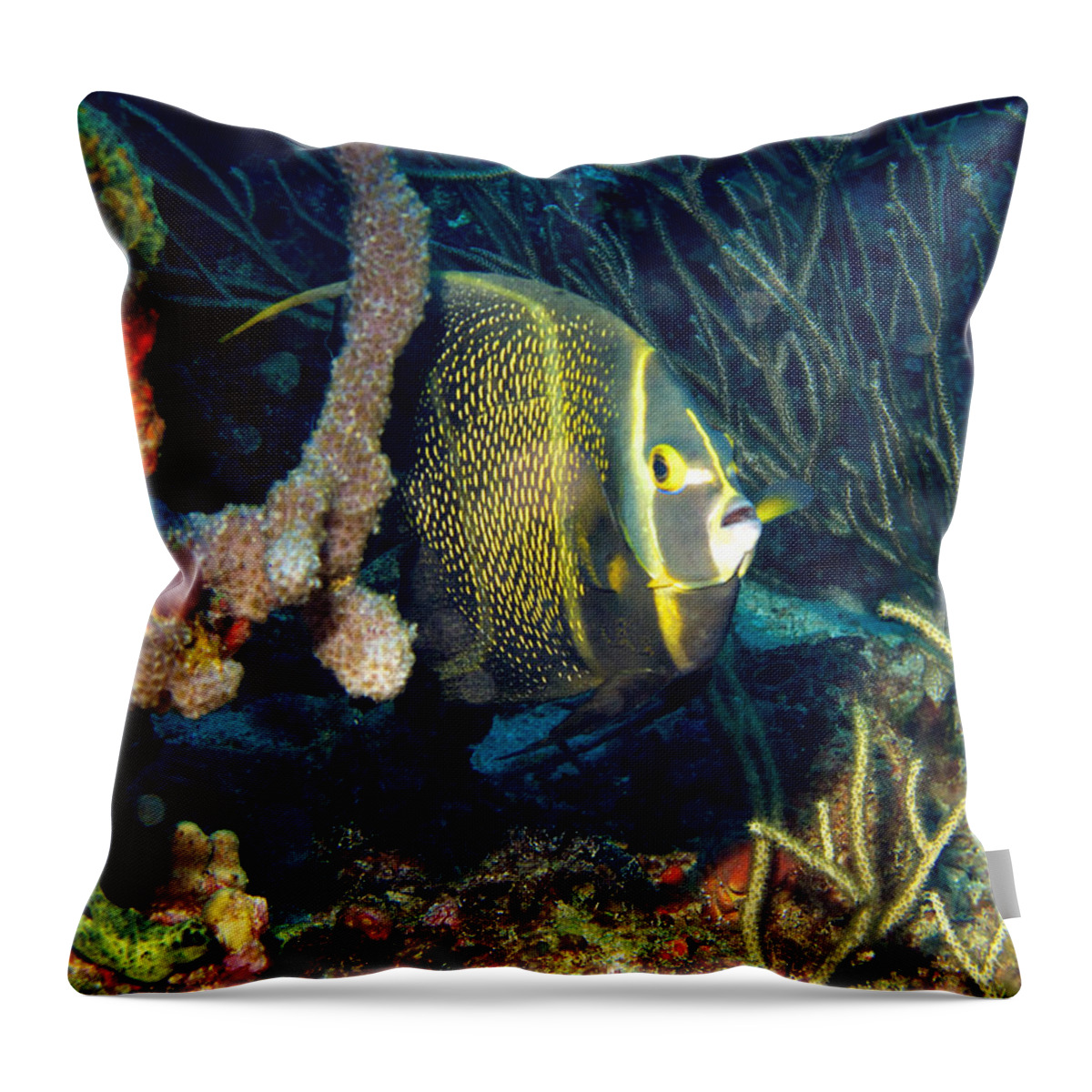 Bequia Throw Pillow featuring the photograph Bequia 02 by David Beebe