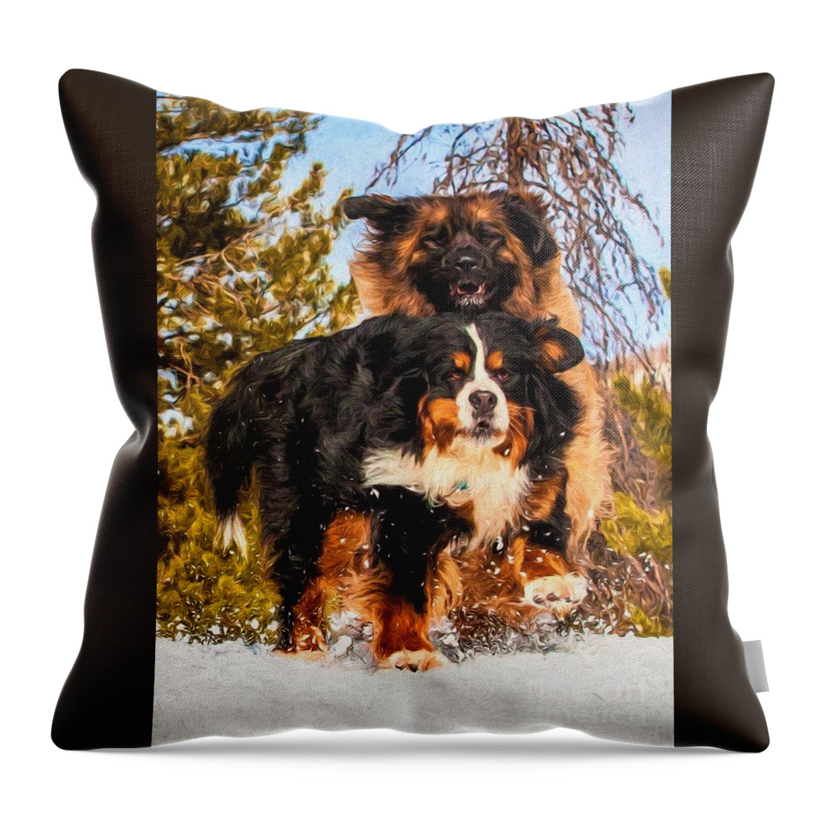 Bernese Mountain Dog Throw Pillow featuring the photograph Bernese Mountain Dog and Leonberger Winter Fun by Gary Whitton