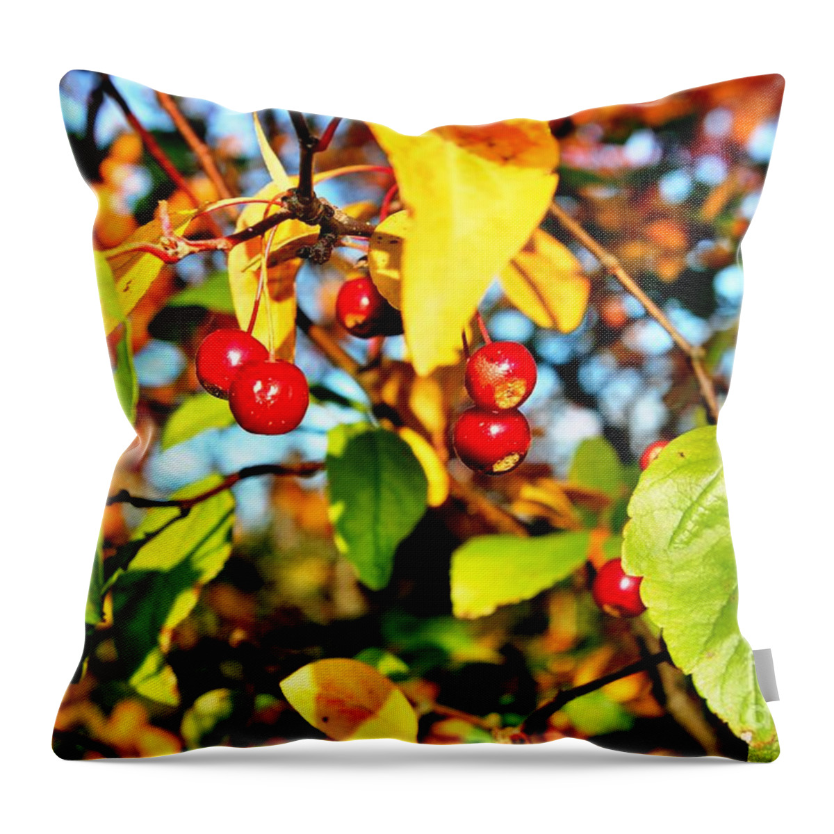 Leaves Throw Pillow featuring the photograph Berries and Leaves by Judy Palkimas