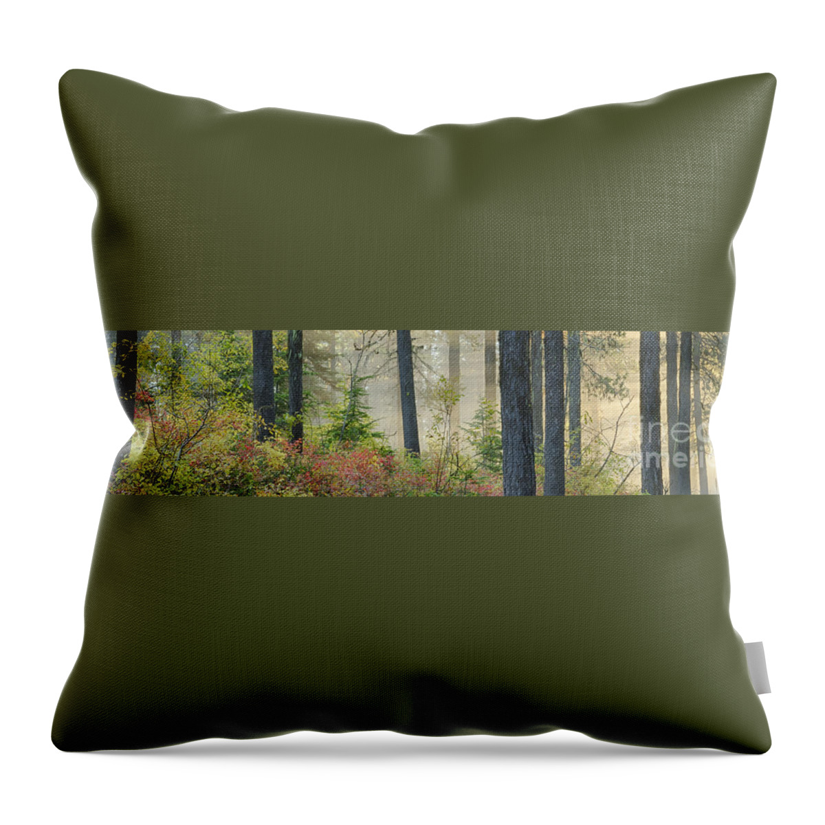 Coeur D'alene Mountains Throw Pillow featuring the photograph Berry Patch Pano by Idaho Scenic Images Linda Lantzy