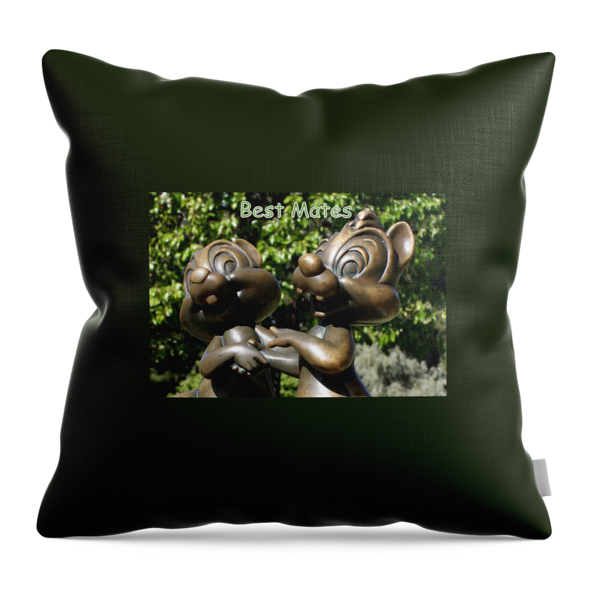 Greetings Cards Throw Pillow featuring the photograph Best Mates by David Nicholls