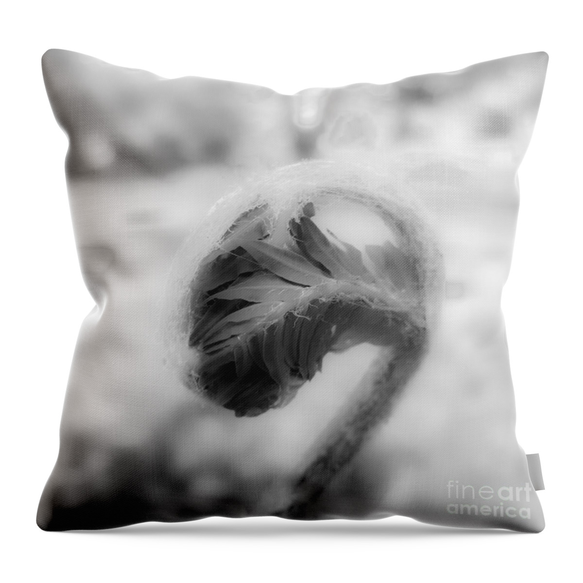 Between Black And White Throw Pillow featuring the photograph Between Black and White-01 by Casper Cammeraat