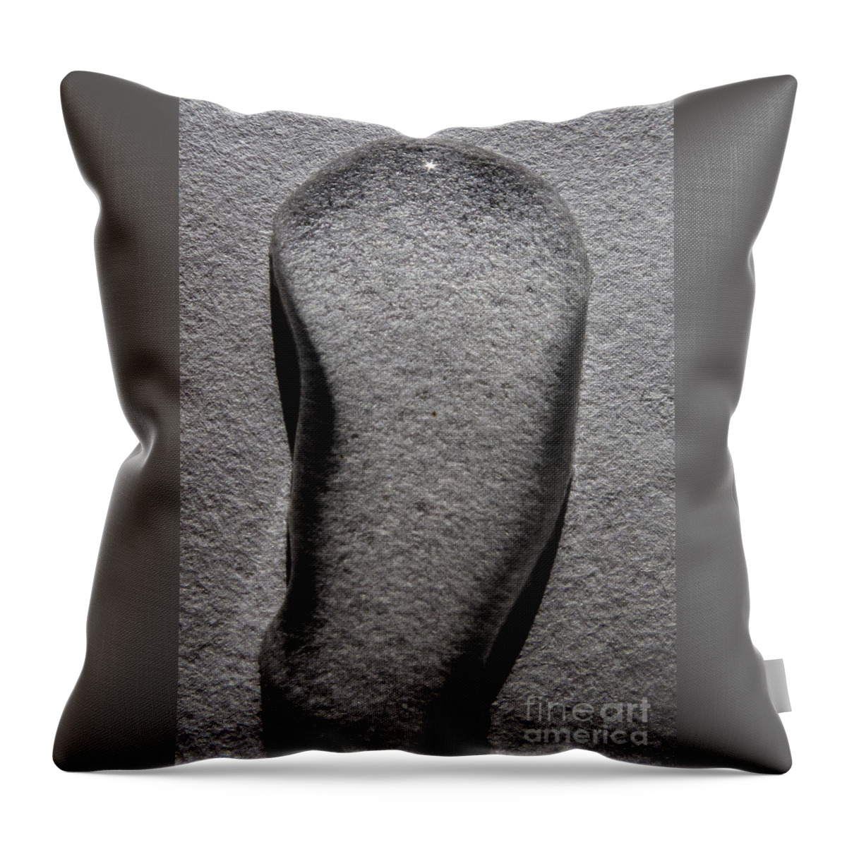 Between Black And White Throw Pillow featuring the photograph Between Black and White-31 by Casper Cammeraat