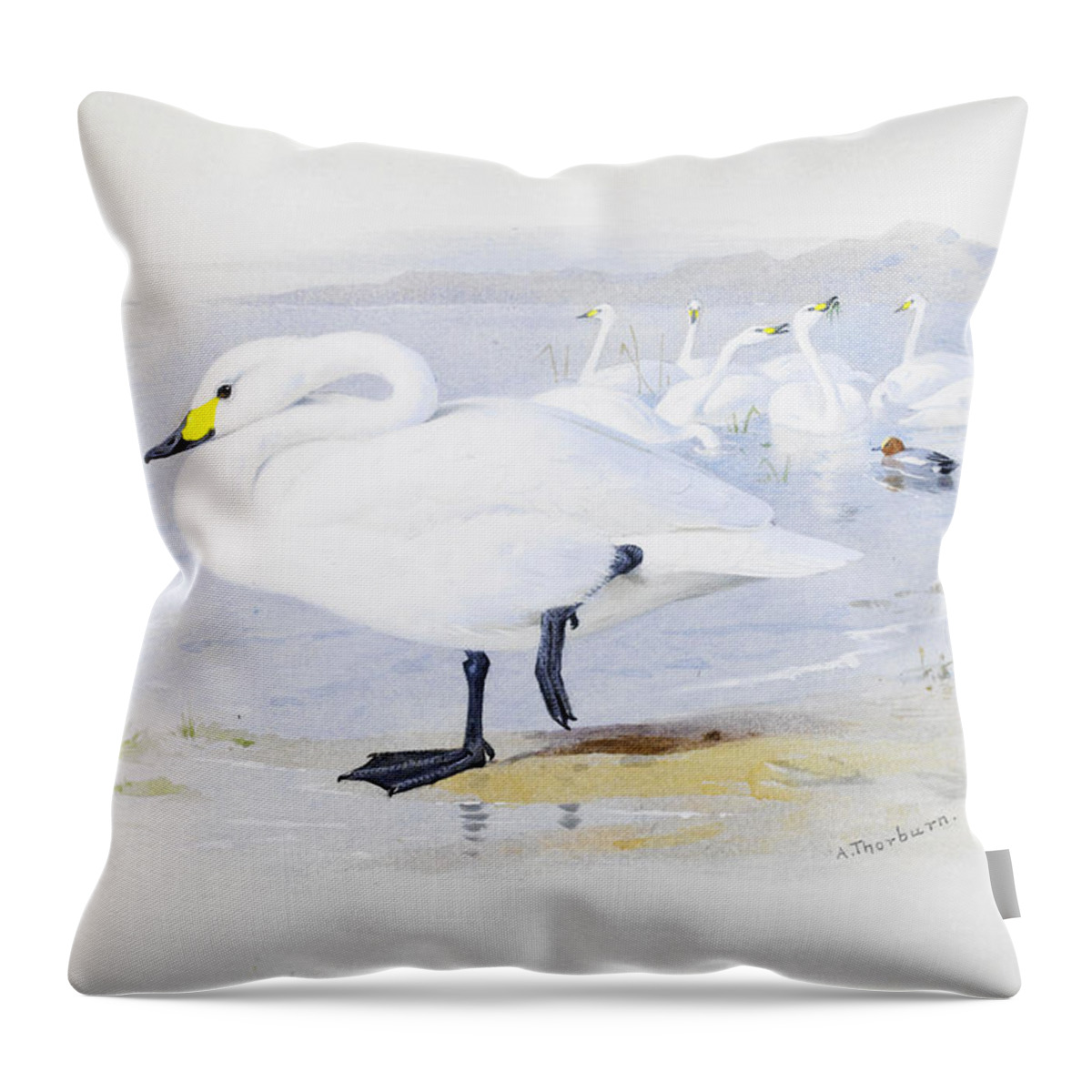 Archibald Thorburn - Bewicks Swan Throw Pillow featuring the painting Bewicks swan by Celestial Images