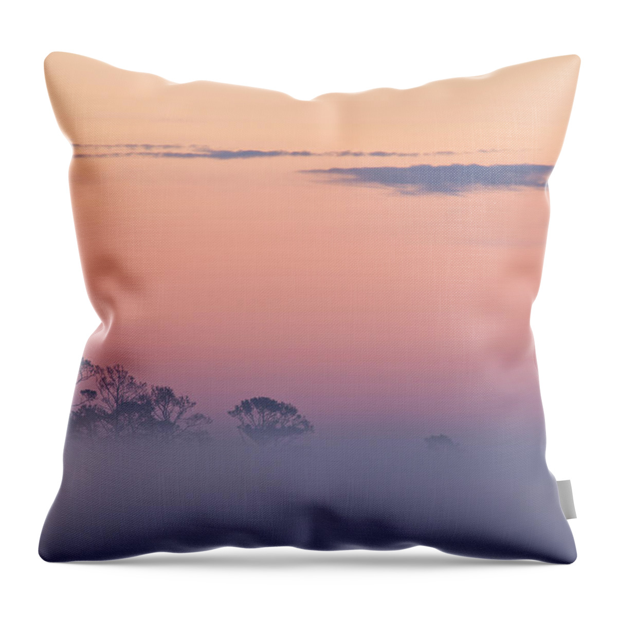 Fog Throw Pillow featuring the photograph Beyond The Fog by Denise Bush