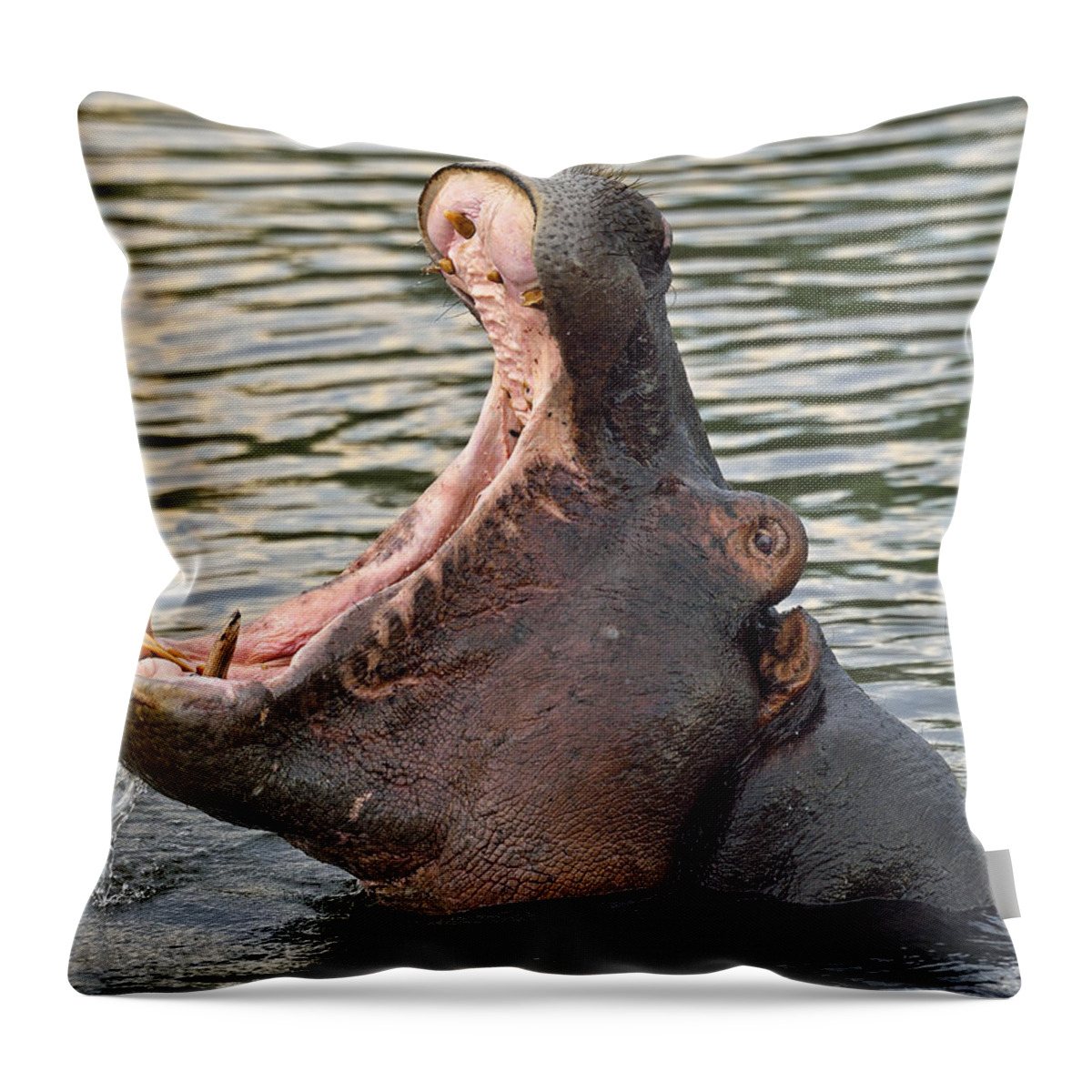 Hippopotamus Throw Pillow featuring the photograph Big Bite by Tony Beck