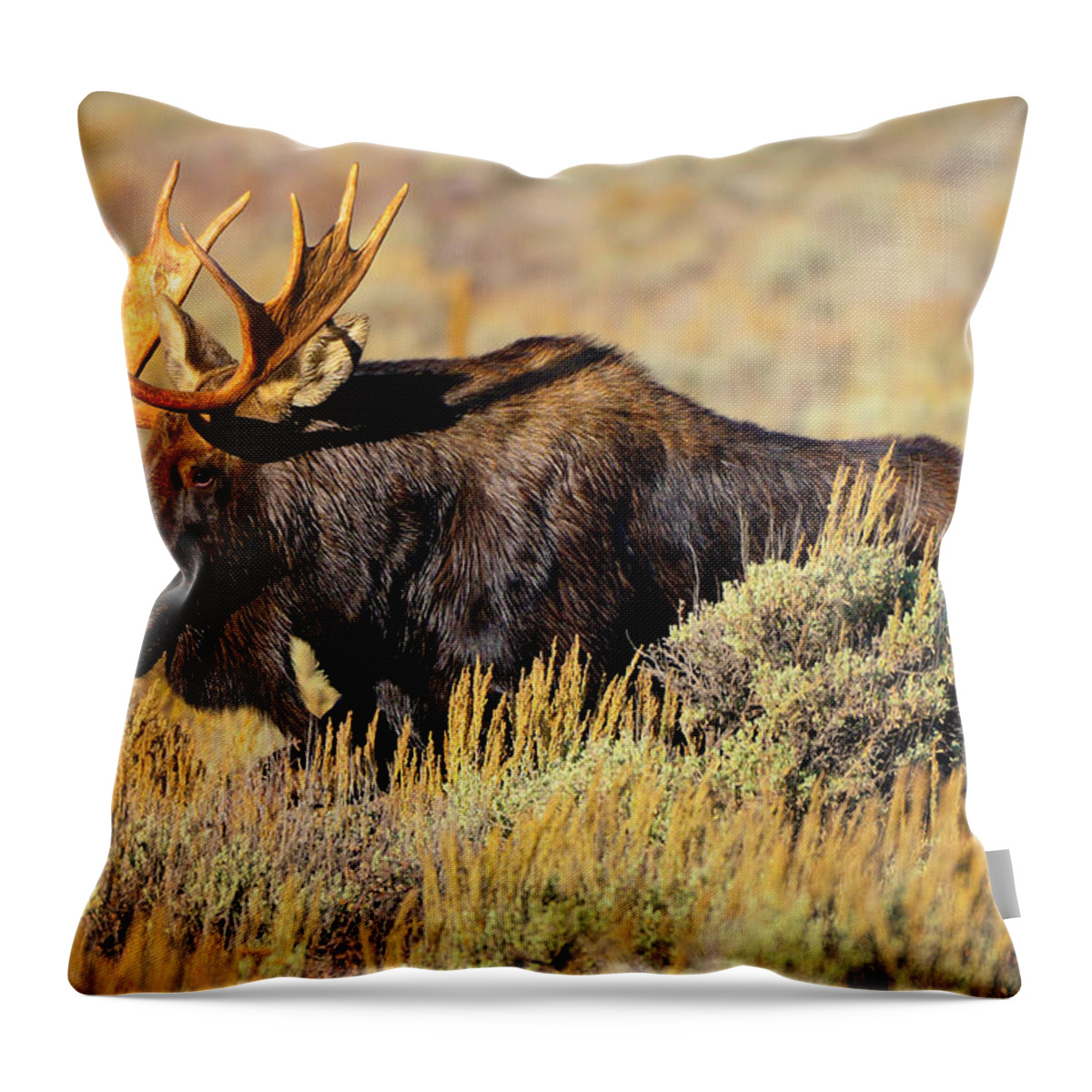 Moose Throw Pillow featuring the photograph Big Boy by Greg Norrell