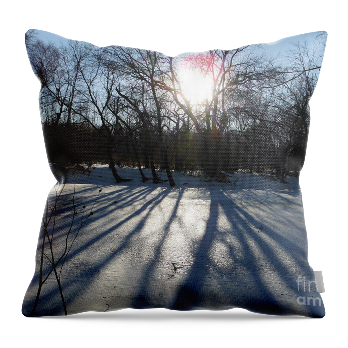 Big Darby Creek 1 Throw Pillow featuring the photograph Big Darby Creek 1 by Paddy Shaffer