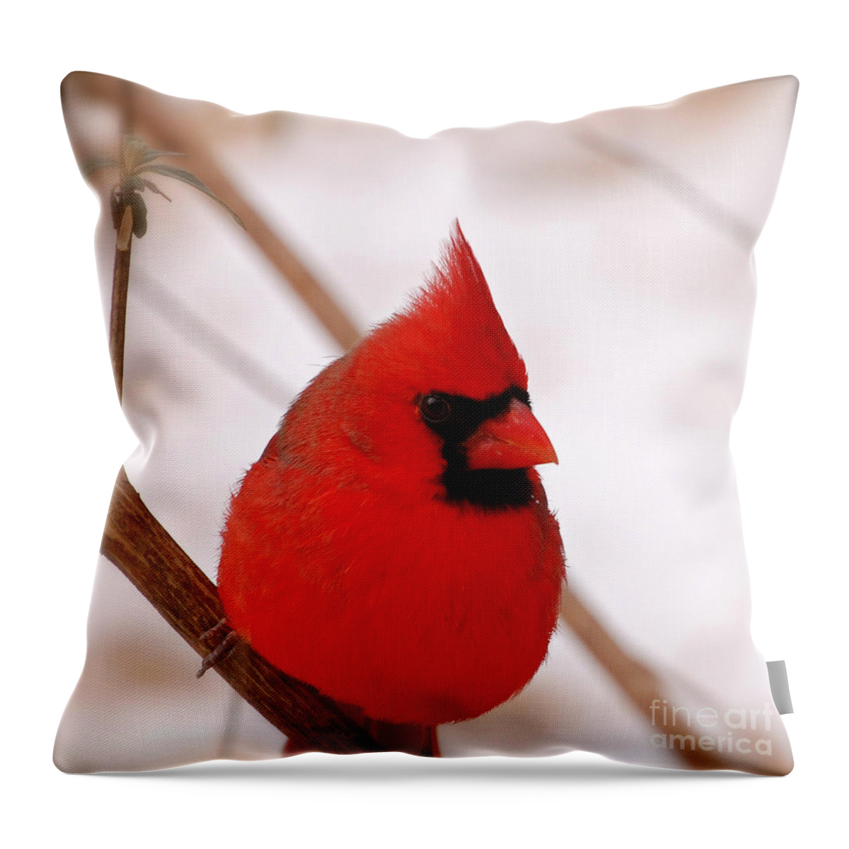 Northern Cardinal Throw Pillow featuring the photograph Big Red Cardinal Bird In Snow by Peggy Franz