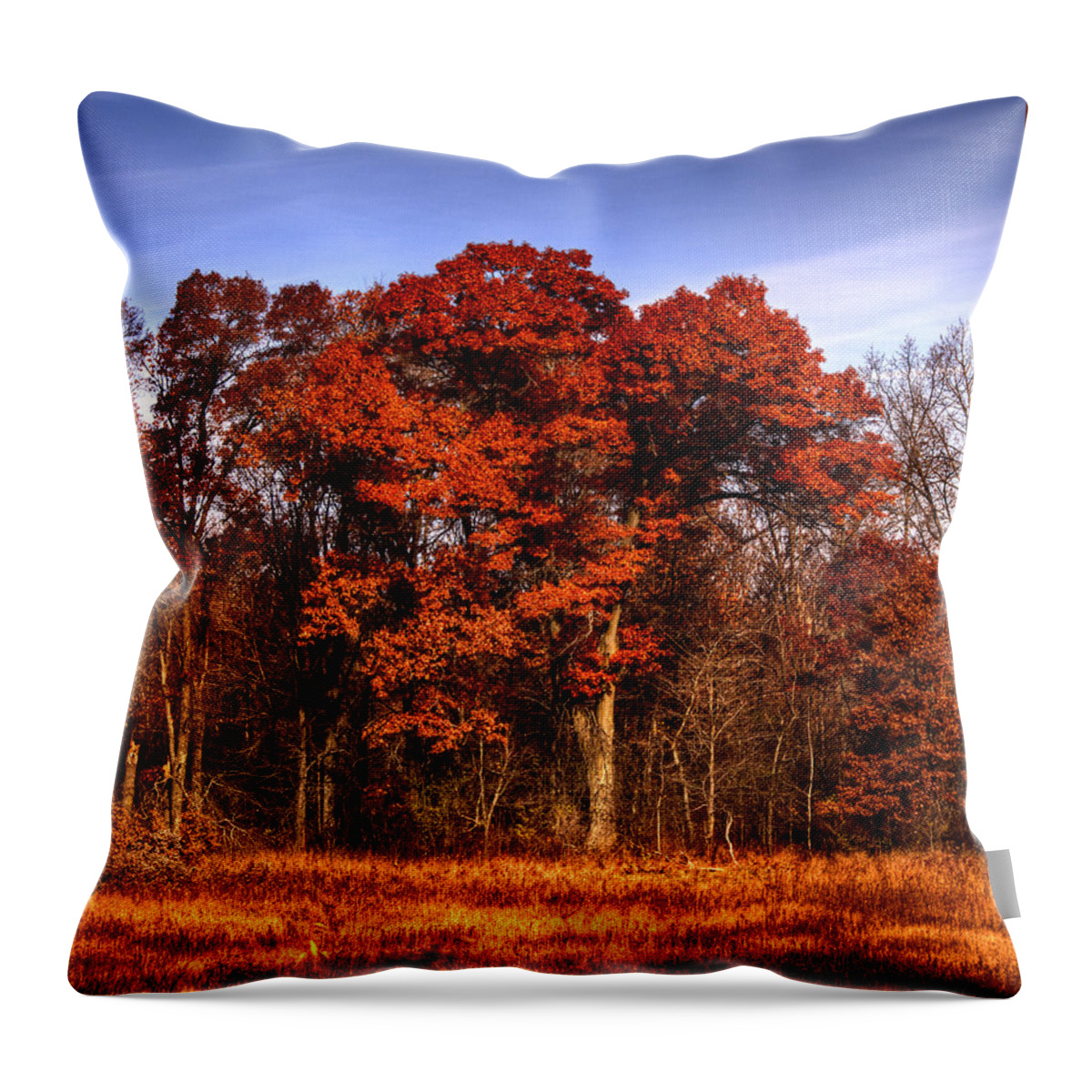 Fall Throw Pillow featuring the photograph Big Red by Thomas Young