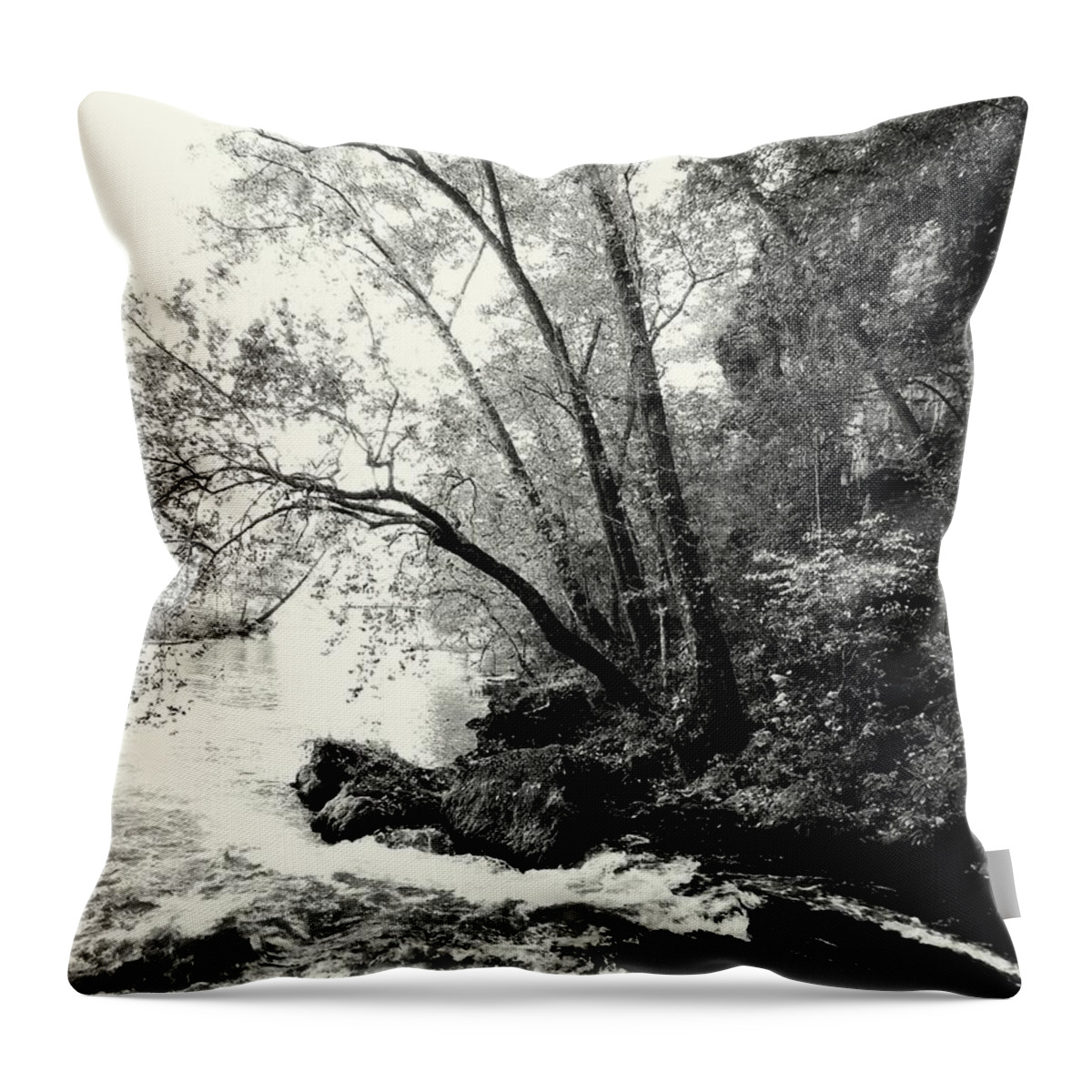 Black And White Throw Pillow featuring the photograph Big Spring In B and W by Marty Koch