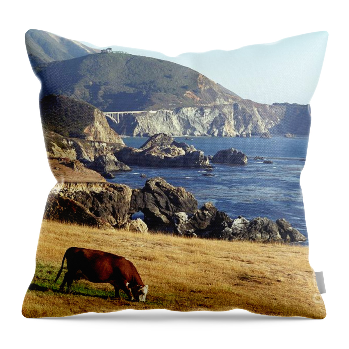 Cow Throw Pillow featuring the photograph Big Sur Cow by James B Toy