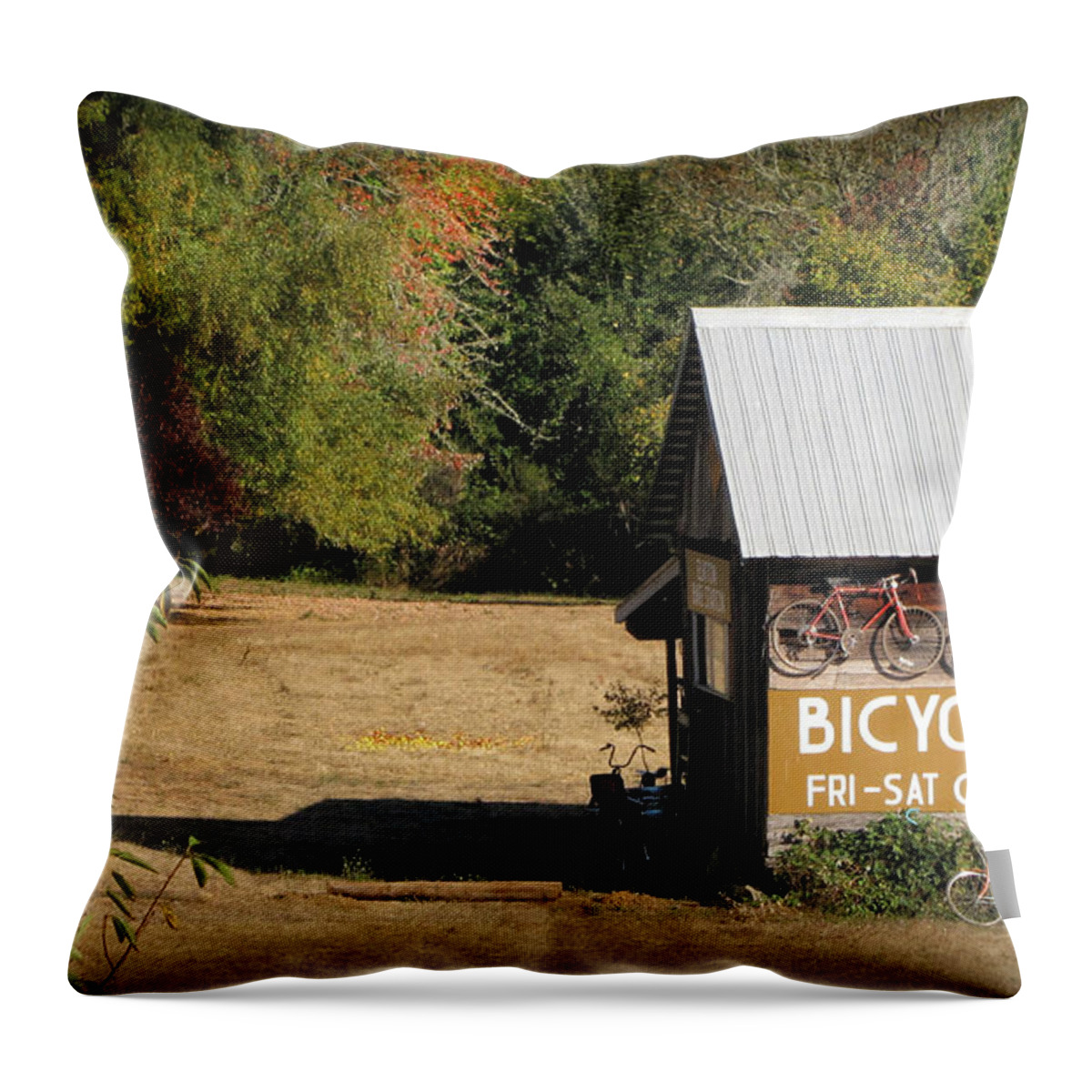 Bicycle Throw Pillow featuring the photograph Bike Repair by KATIE Vigil
