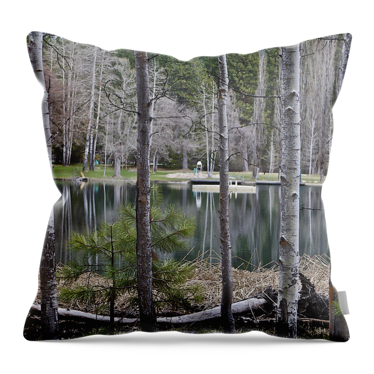 Birch Throw Pillow featuring the photograph Birch Pond by SC Heffner